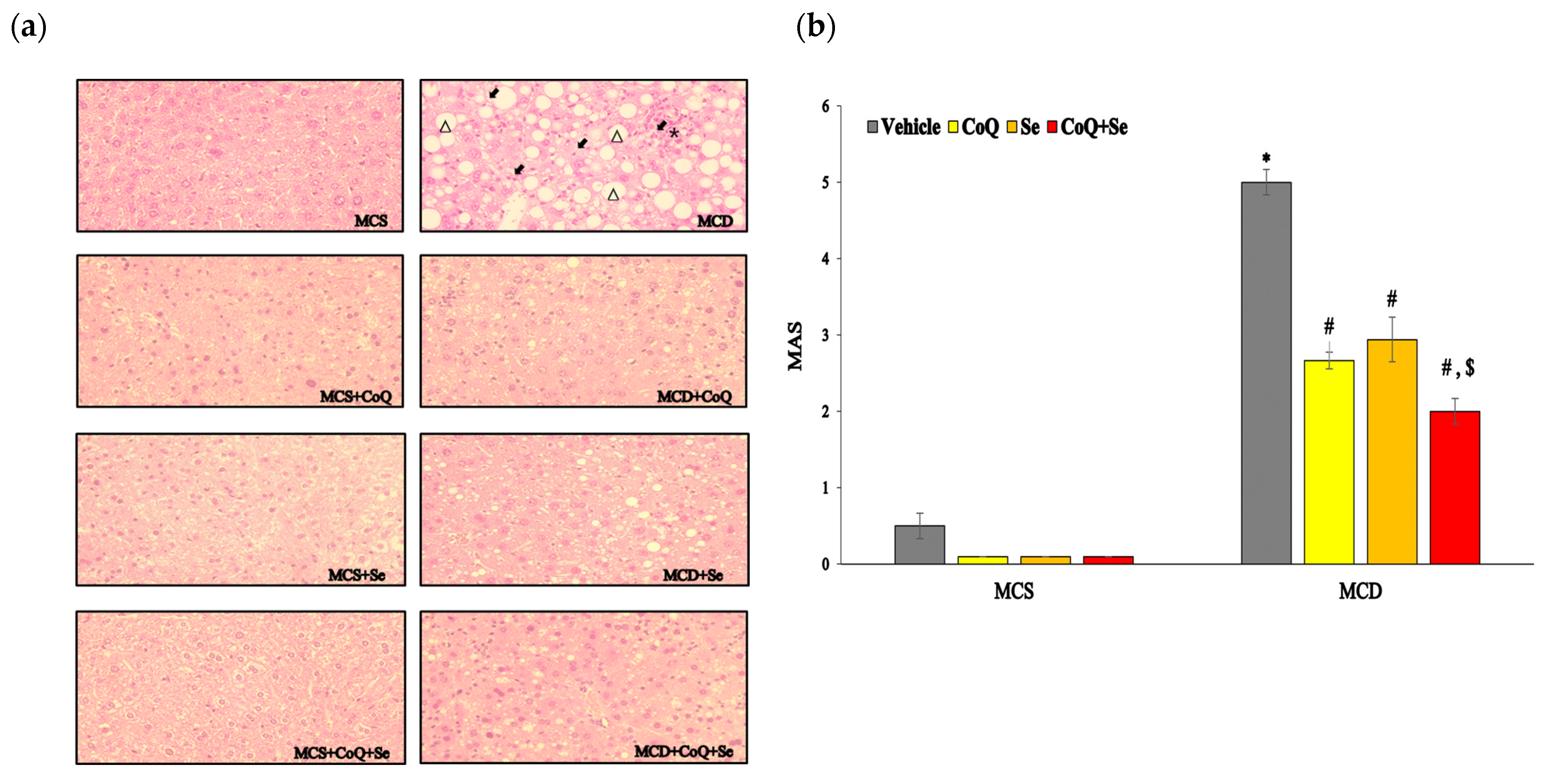 Nutrients 17 00229 g001a