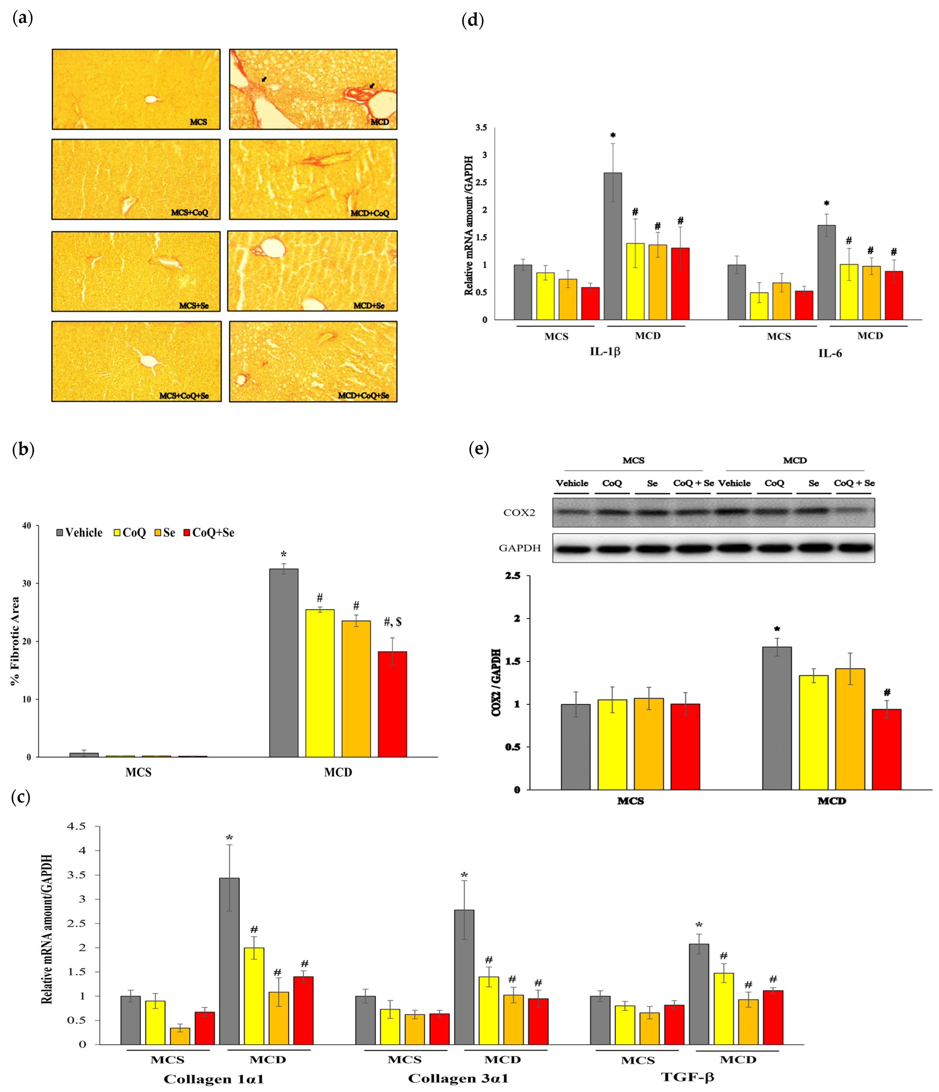 Nutrients 17 00229 g002