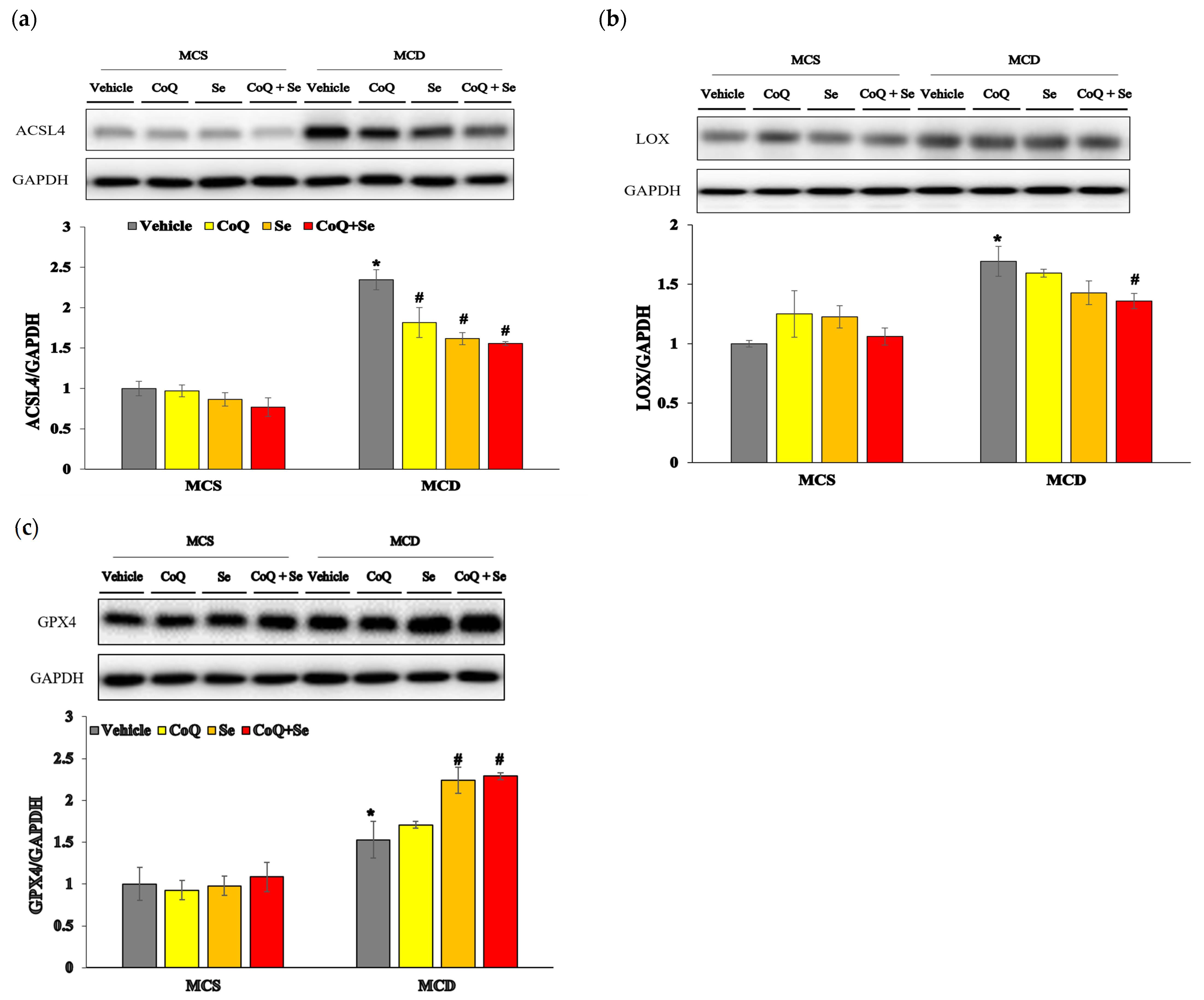 Nutrients 17 00229 g004
