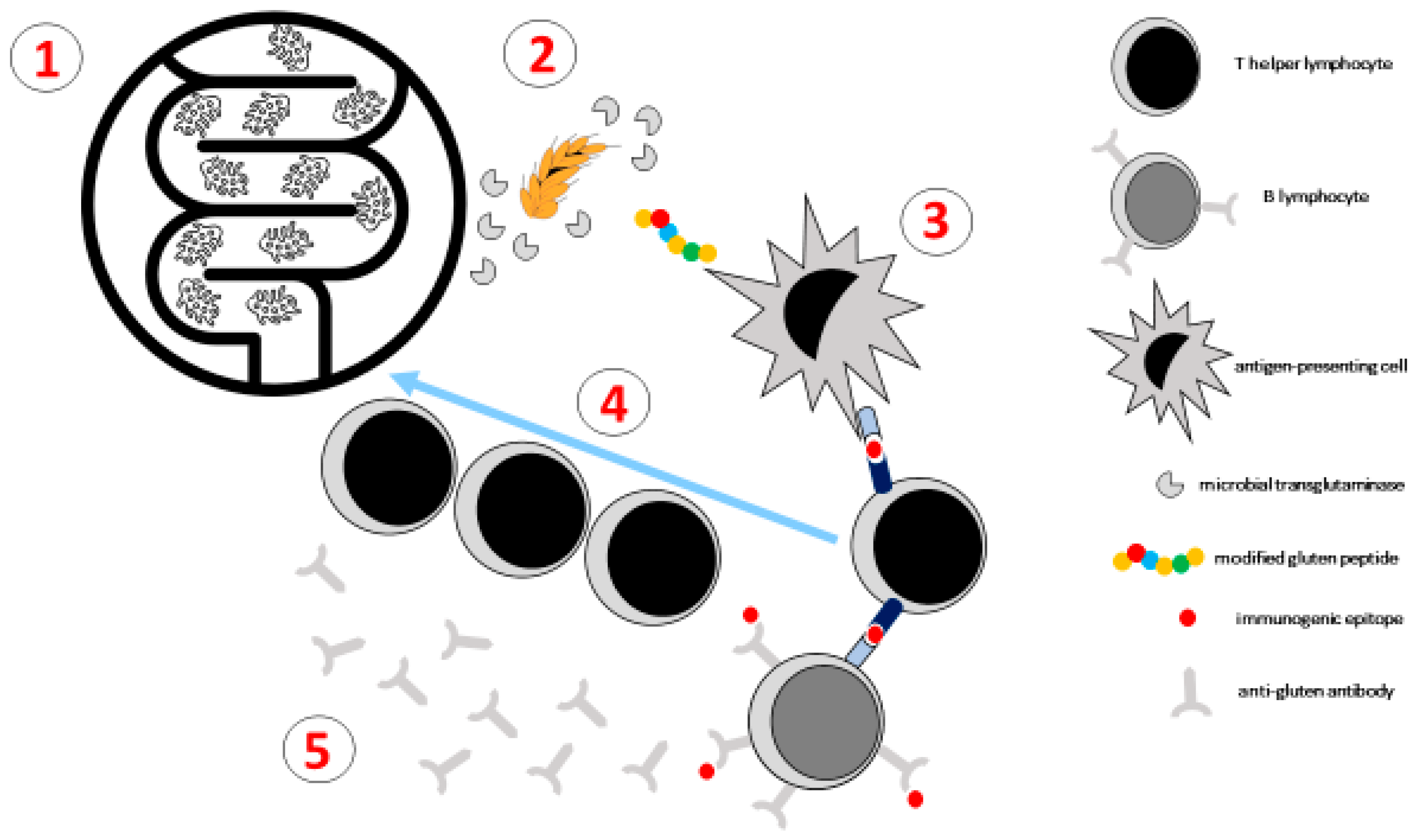Nutrients 17 00234 g002