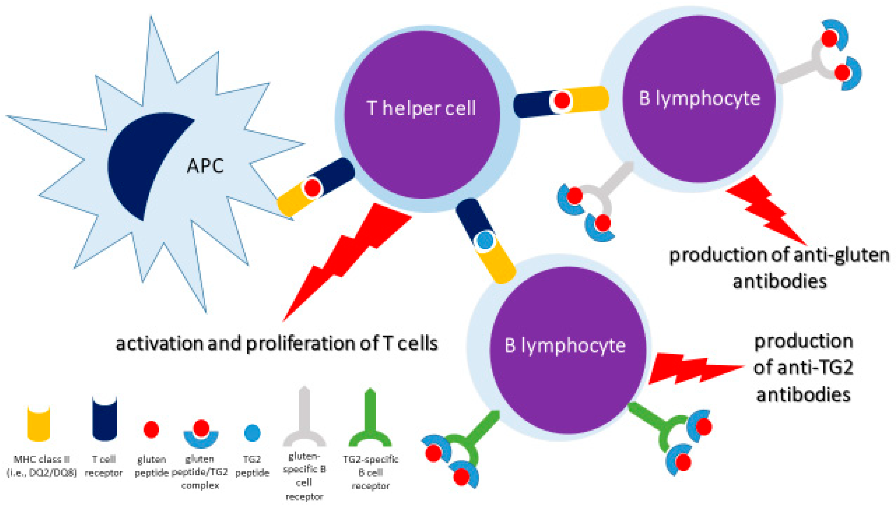 Nutrients 17 00234 g003