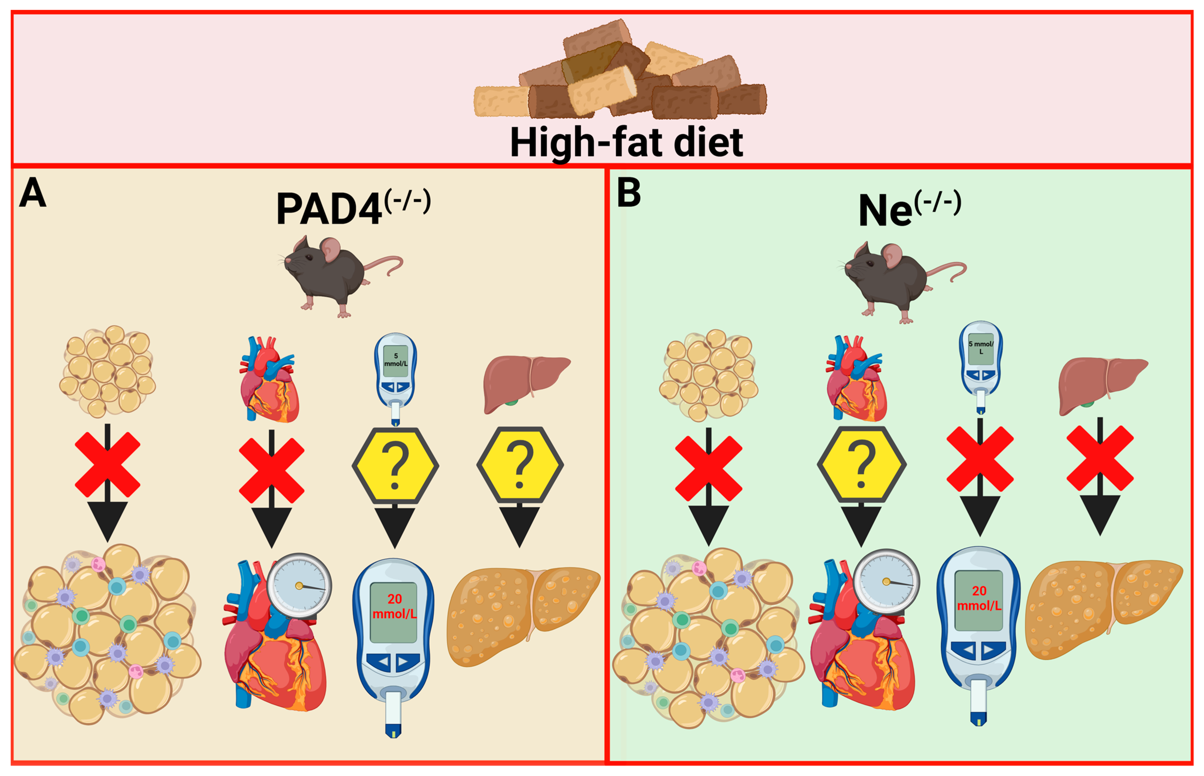 Nutrients 17 00241 g002