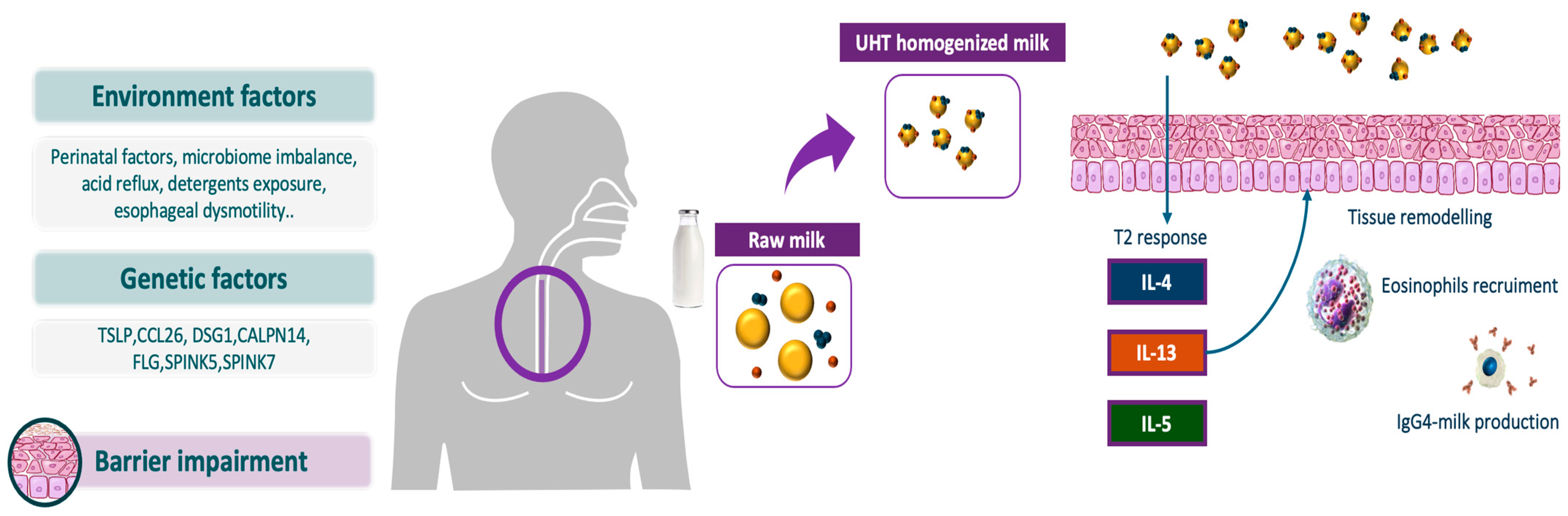 Nutrients 17 00265 g001