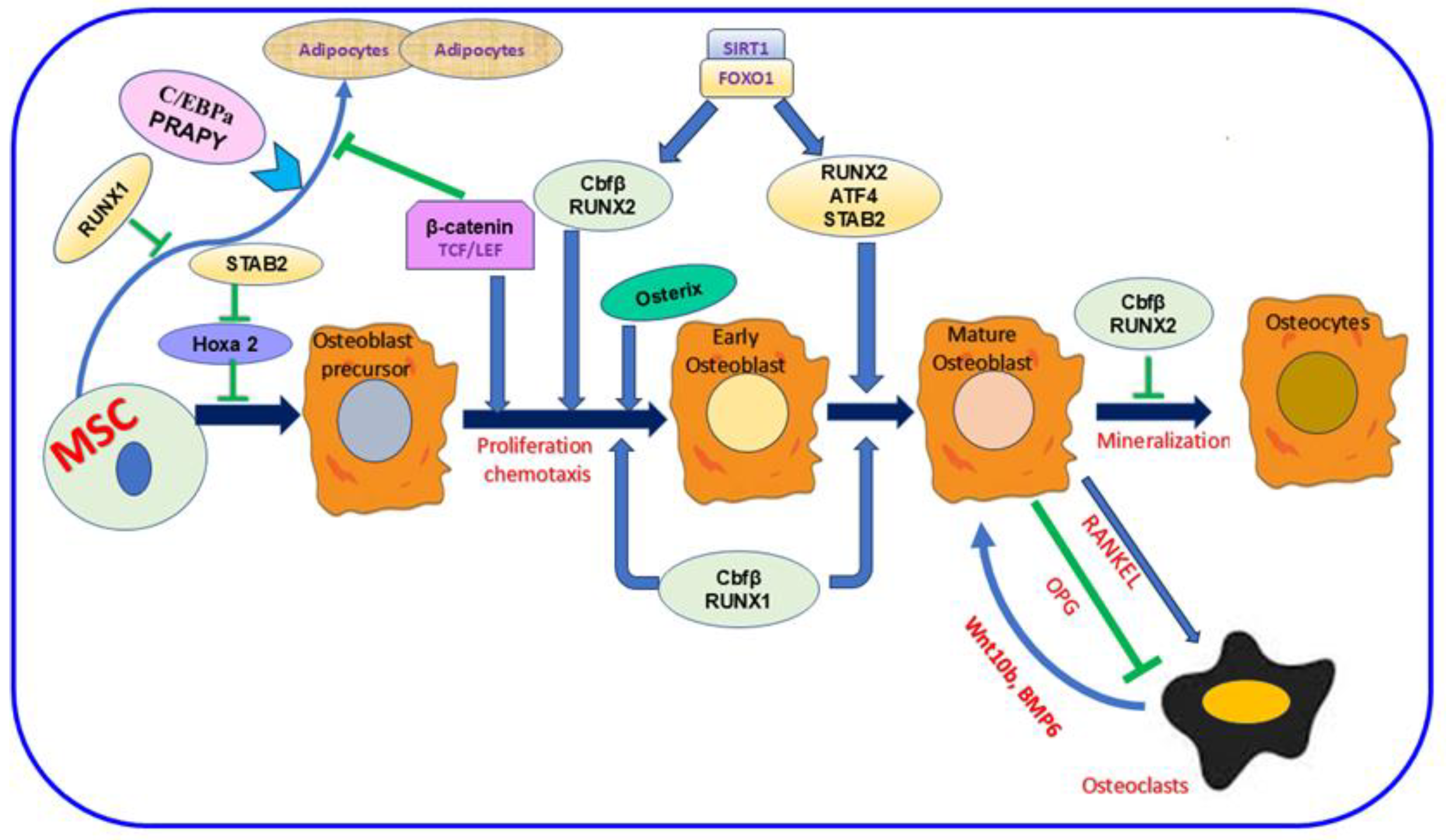 Nutrients 17 00267 g001