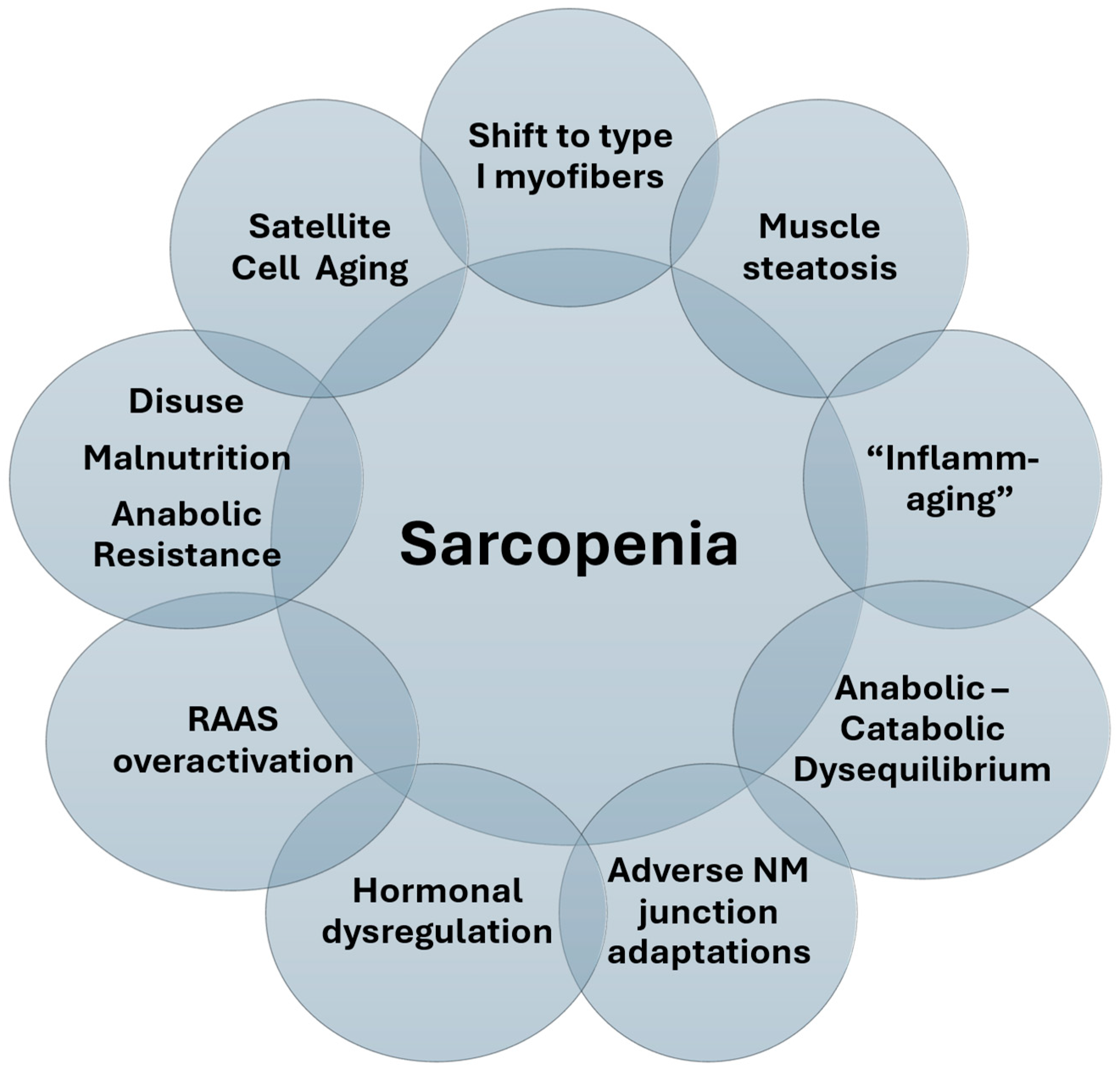 Nutrients 17 00282 g001
