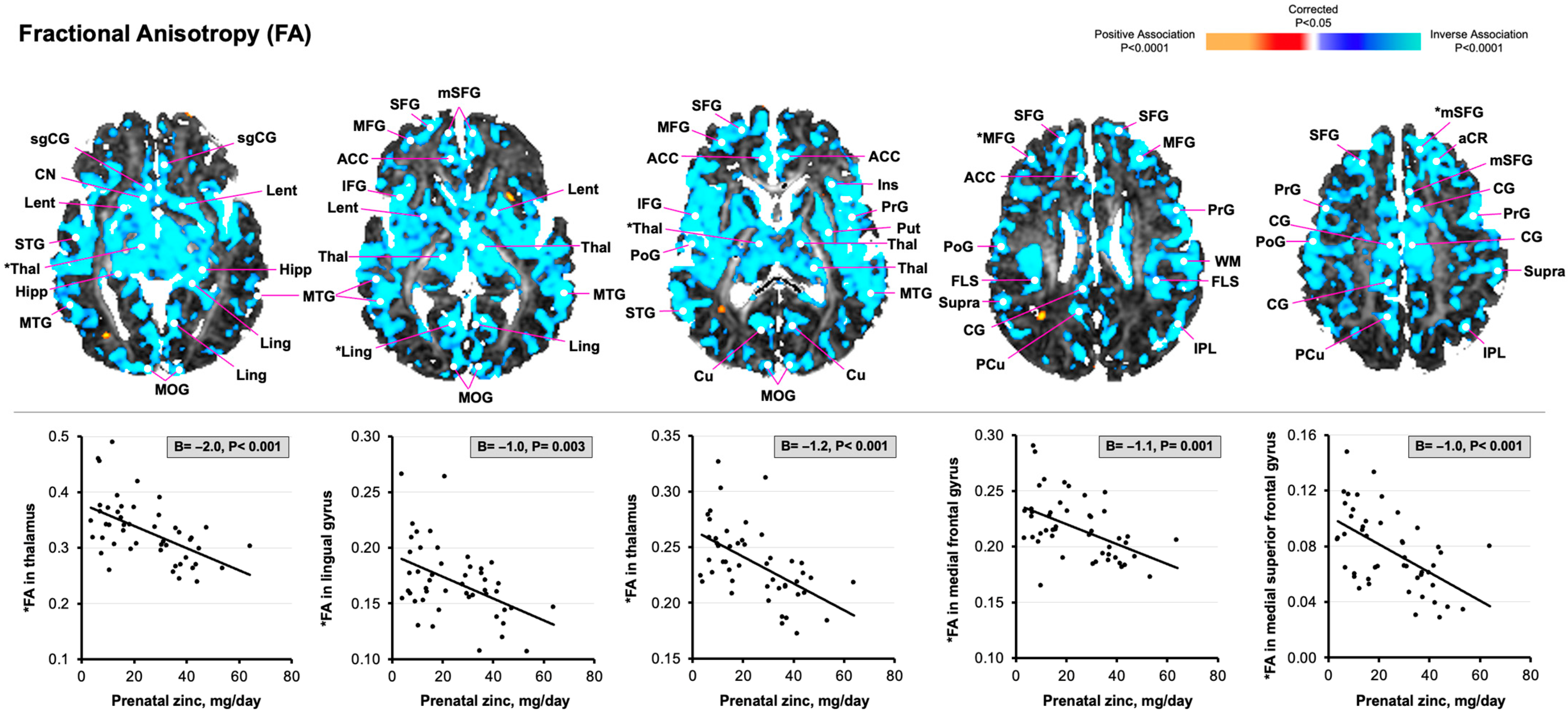 Nutrients 17 00303 g002