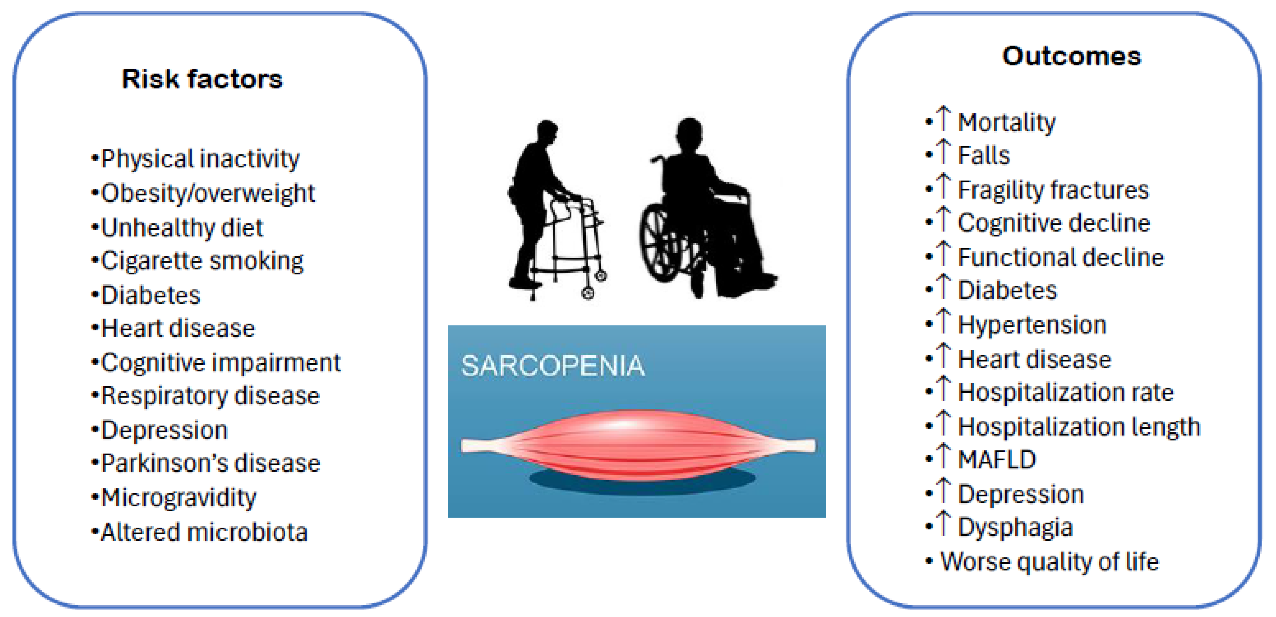 Nutrients 17 00313 g002