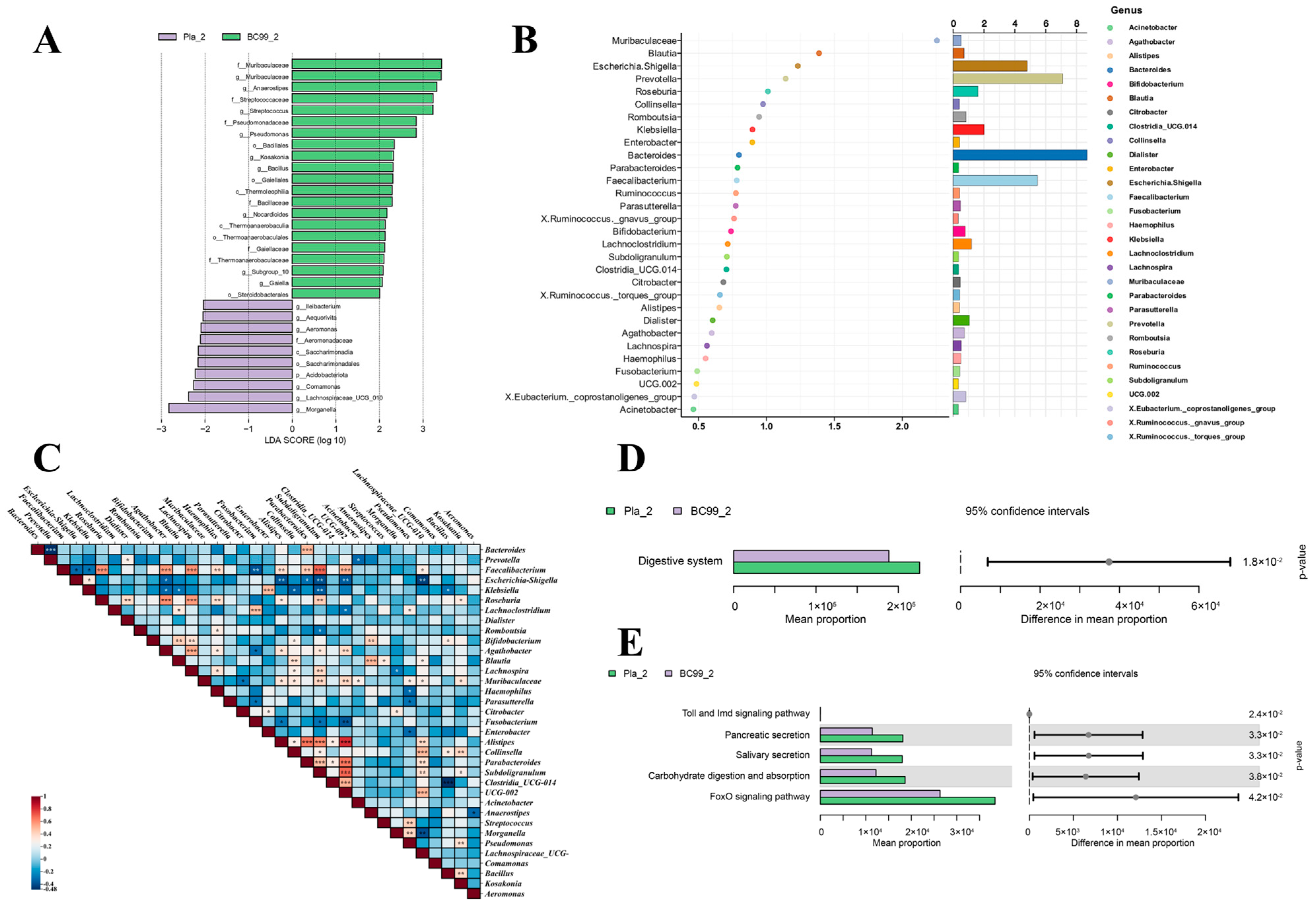 Nutrients 17 00320 g006 Nutrients 17 00320 g006