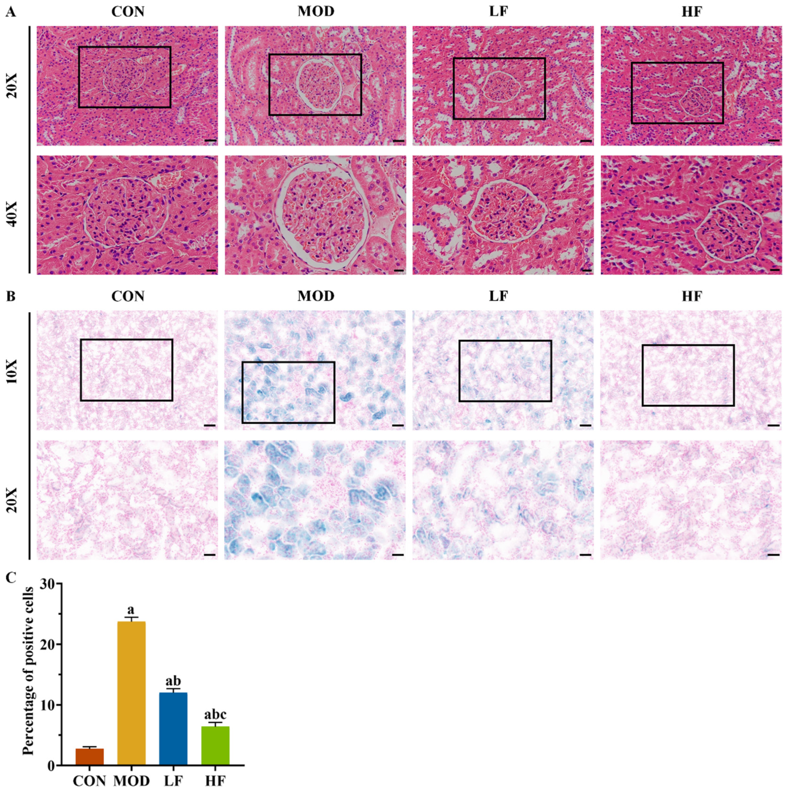 Nutrients 17 00325 g002