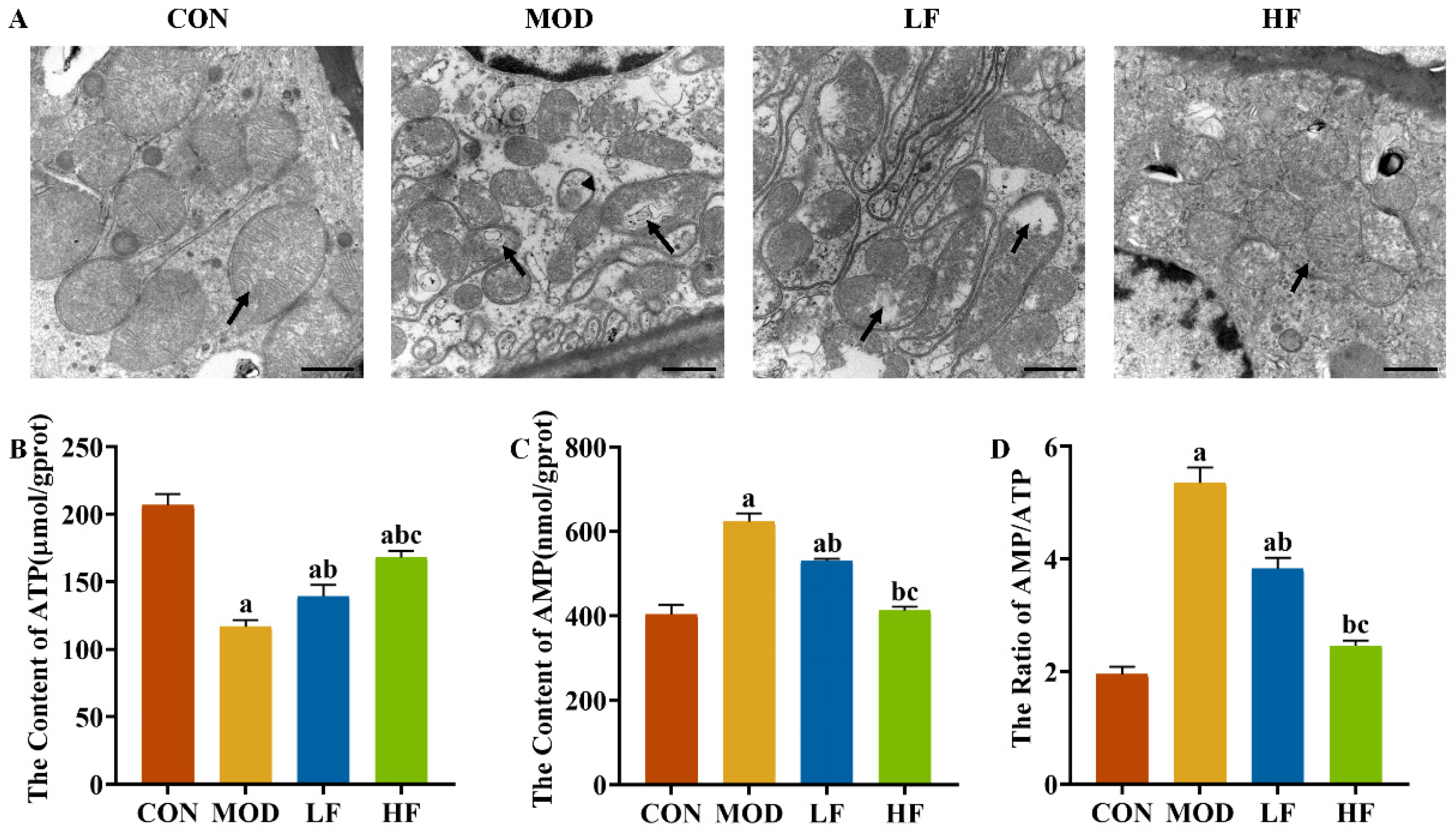 Nutrients 17 00325 g005