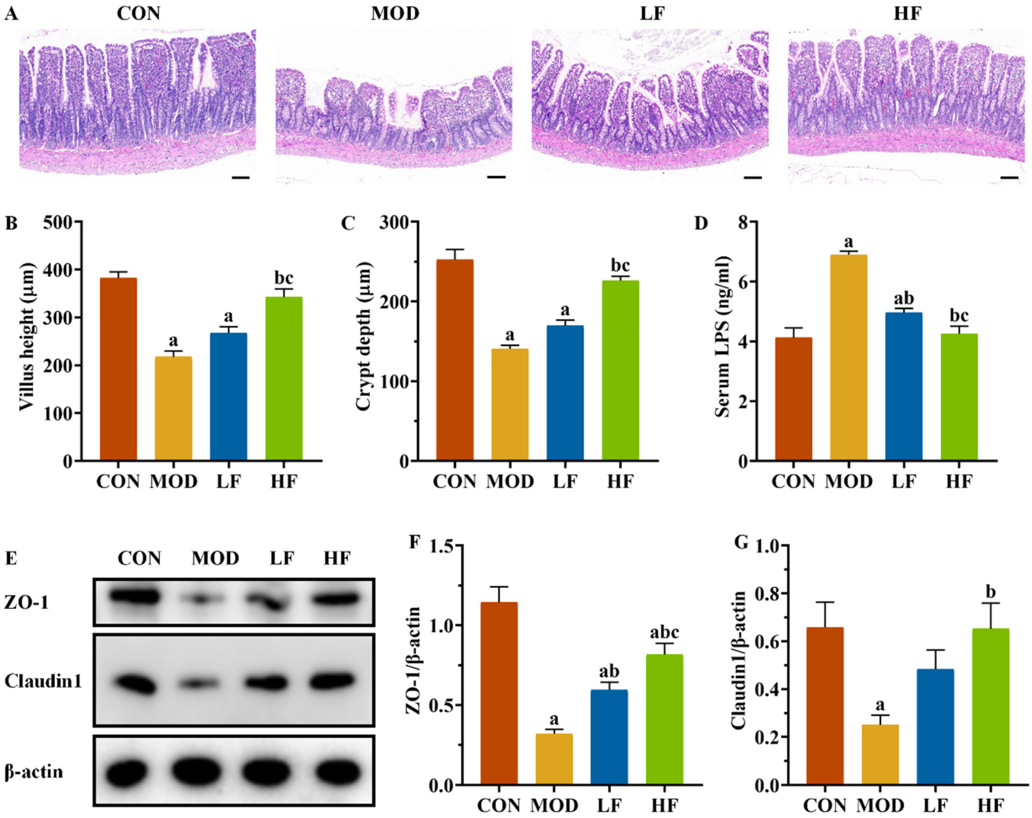 Nutrients 17 00325 g008
