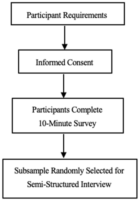 Food Insecurity and Coping Mechanisms: Impact on Maternal Mental 