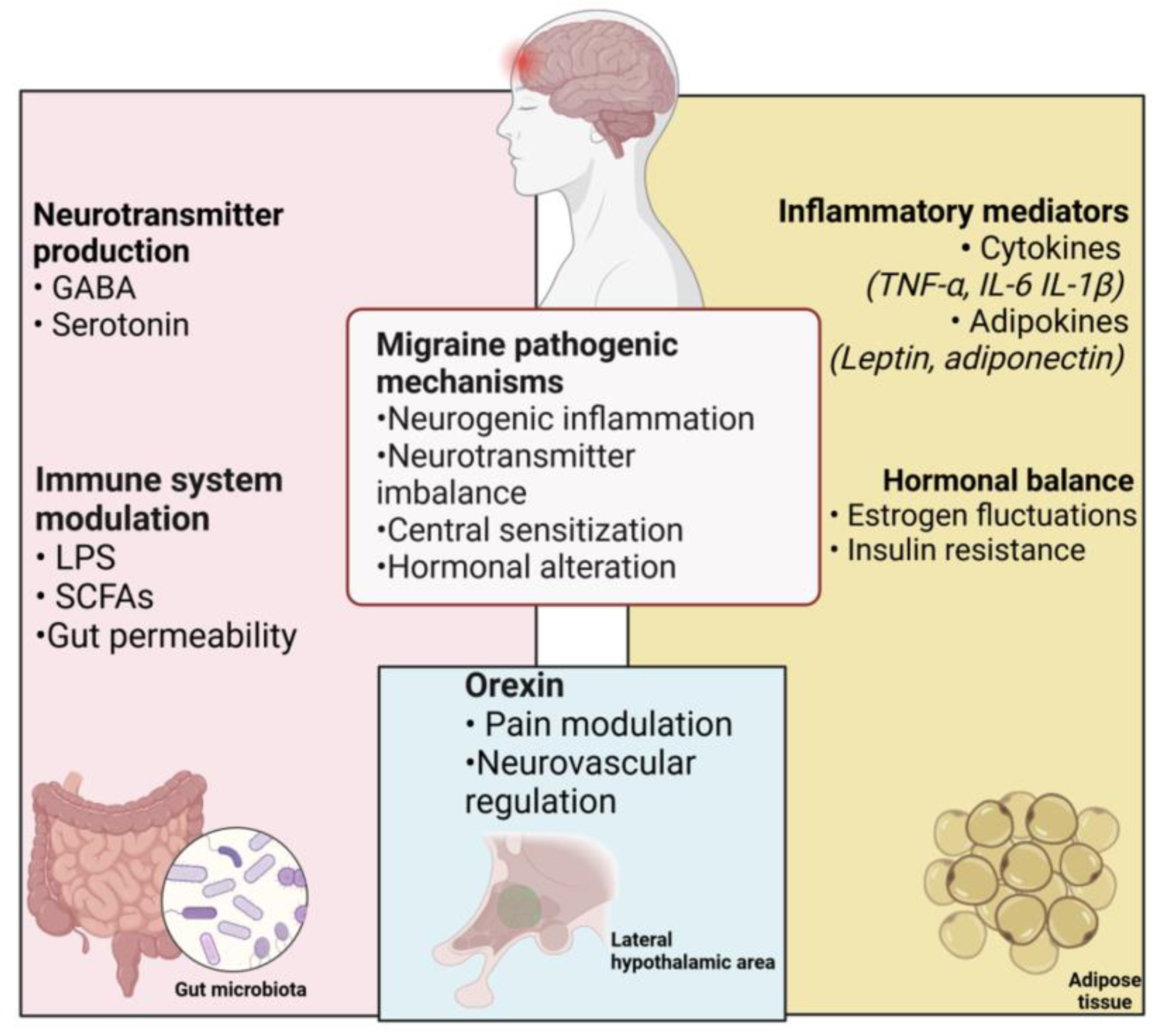 Nutrients 17 00337 g001