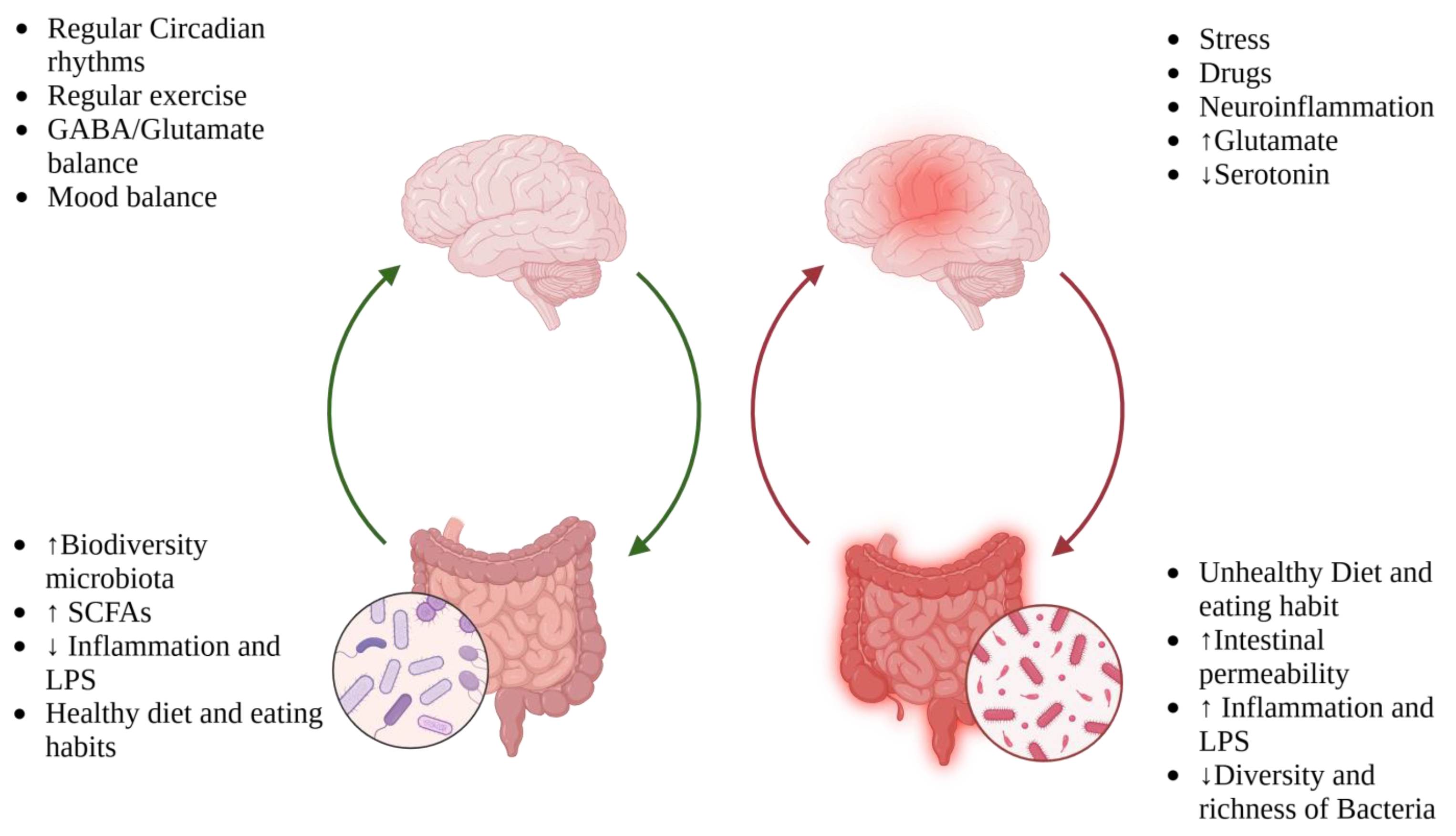 Nutrients 17 00337 g002