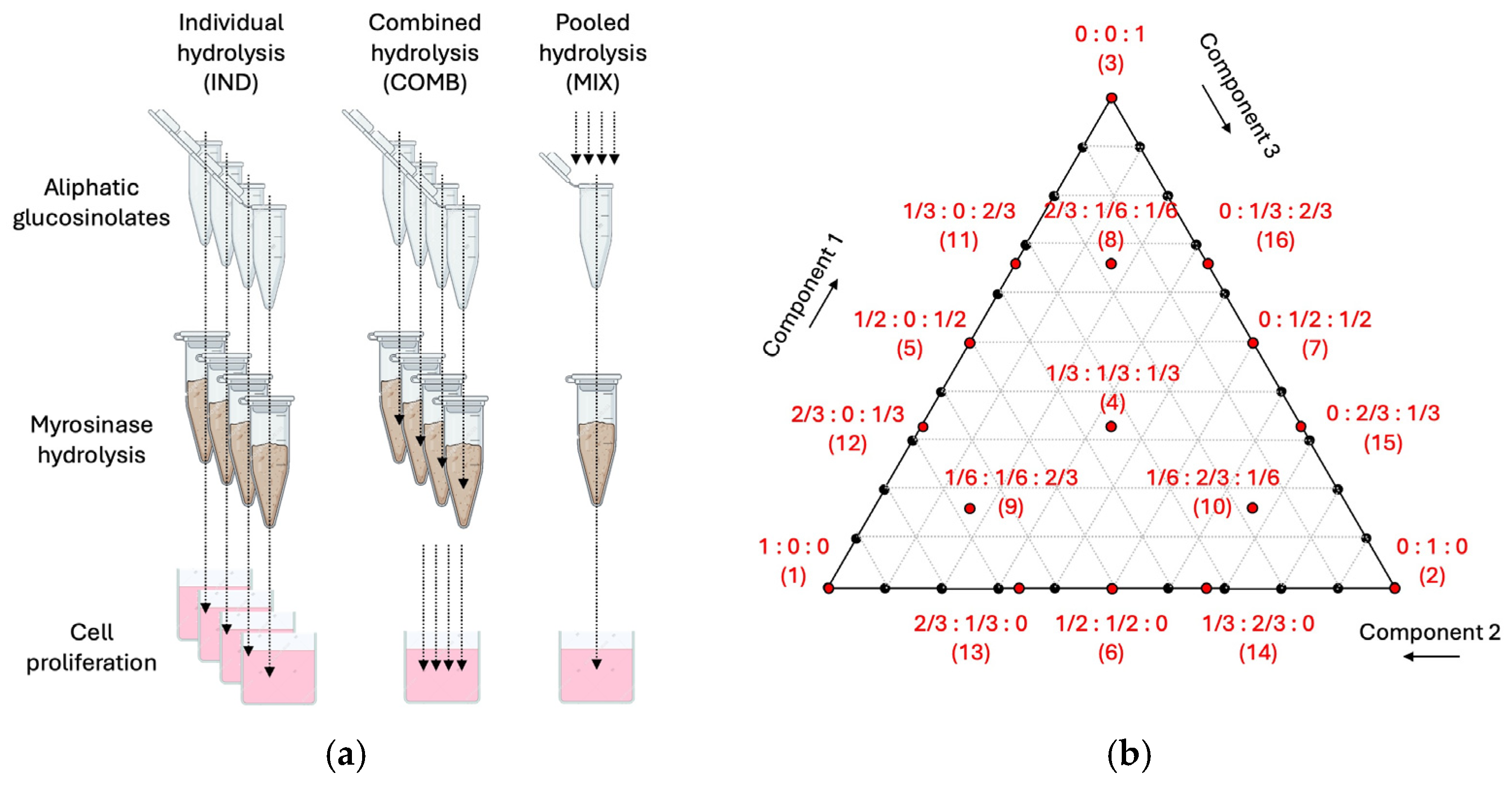 Nutrients 17 00344 g002