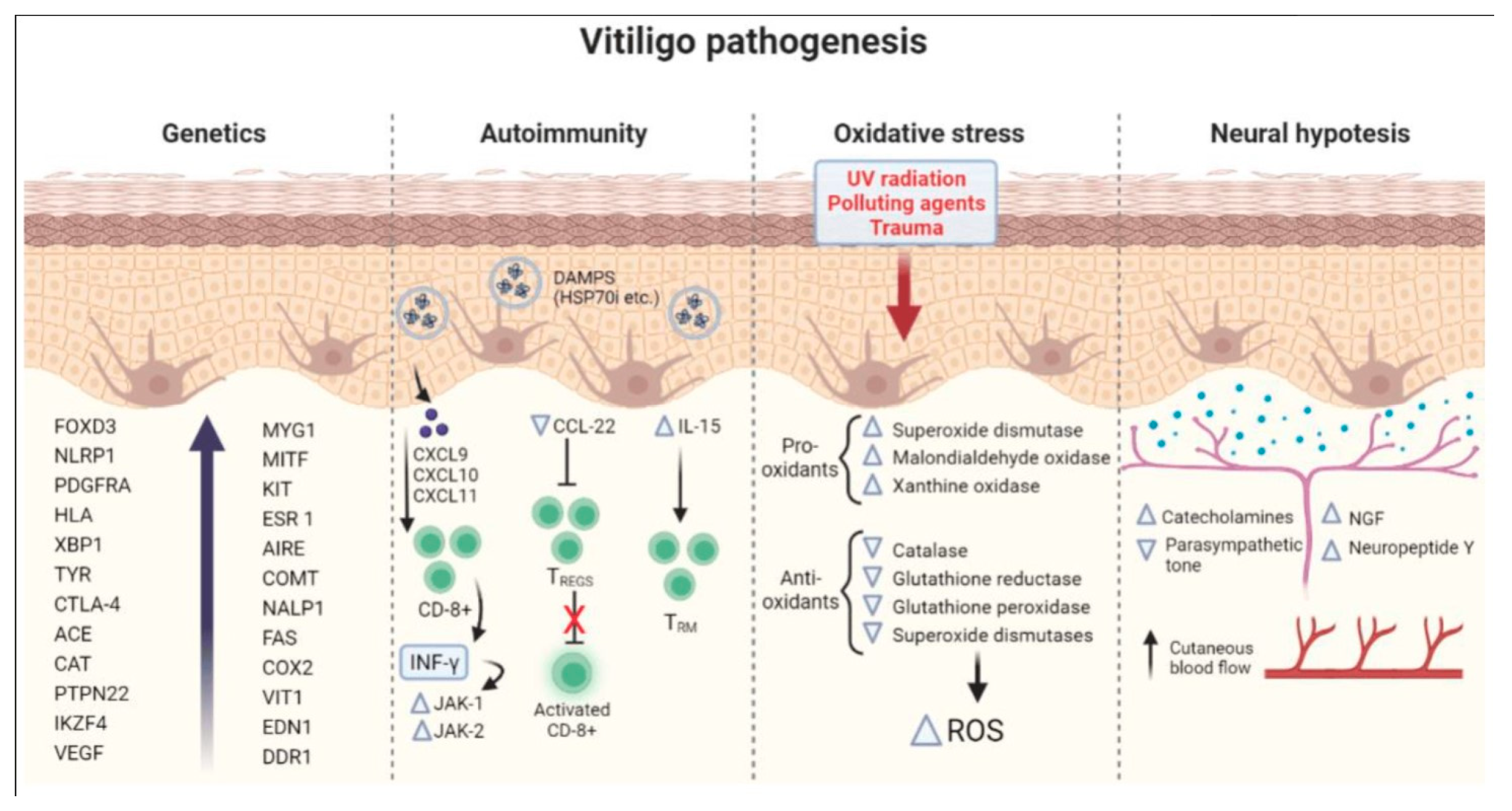 Nutrients 17 00357 g002 Nutrients 17 00357 g002