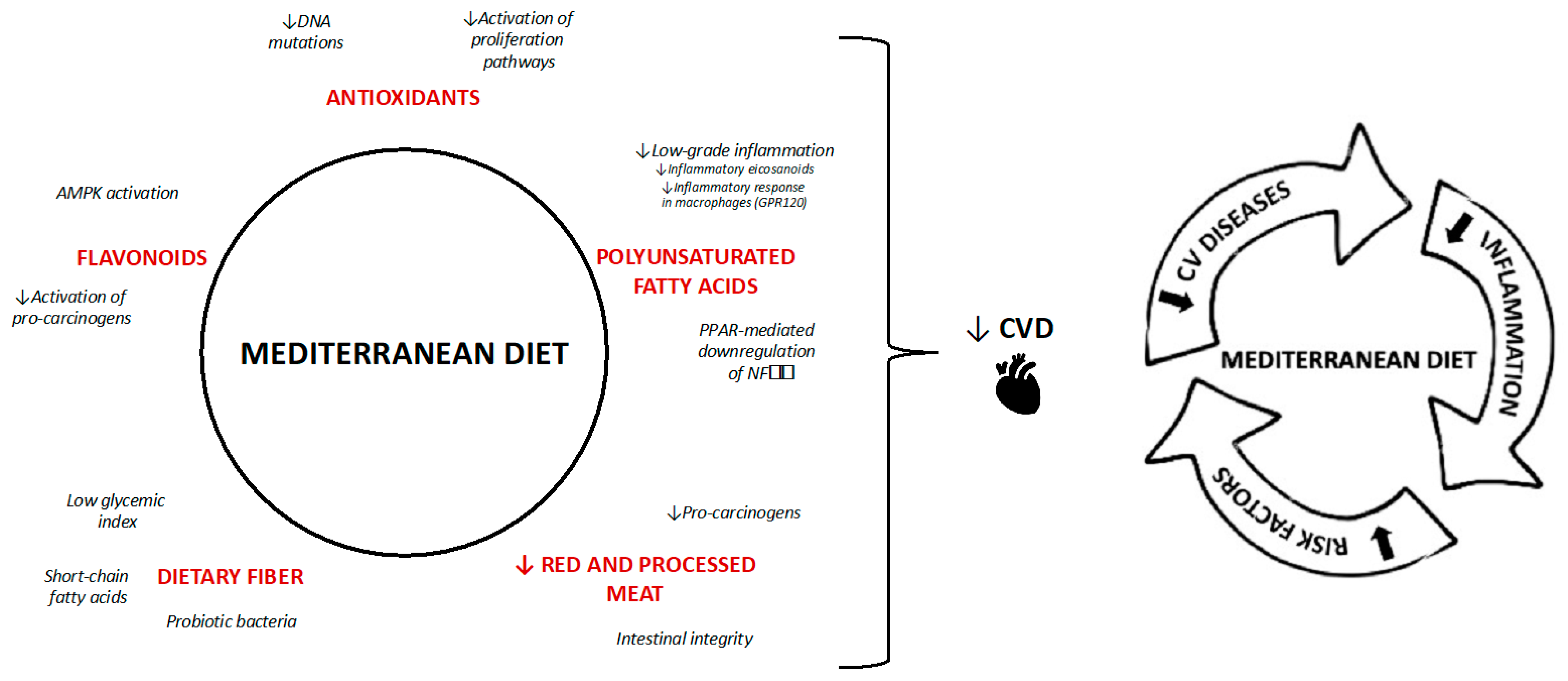 Nutrients 17 00358 g004