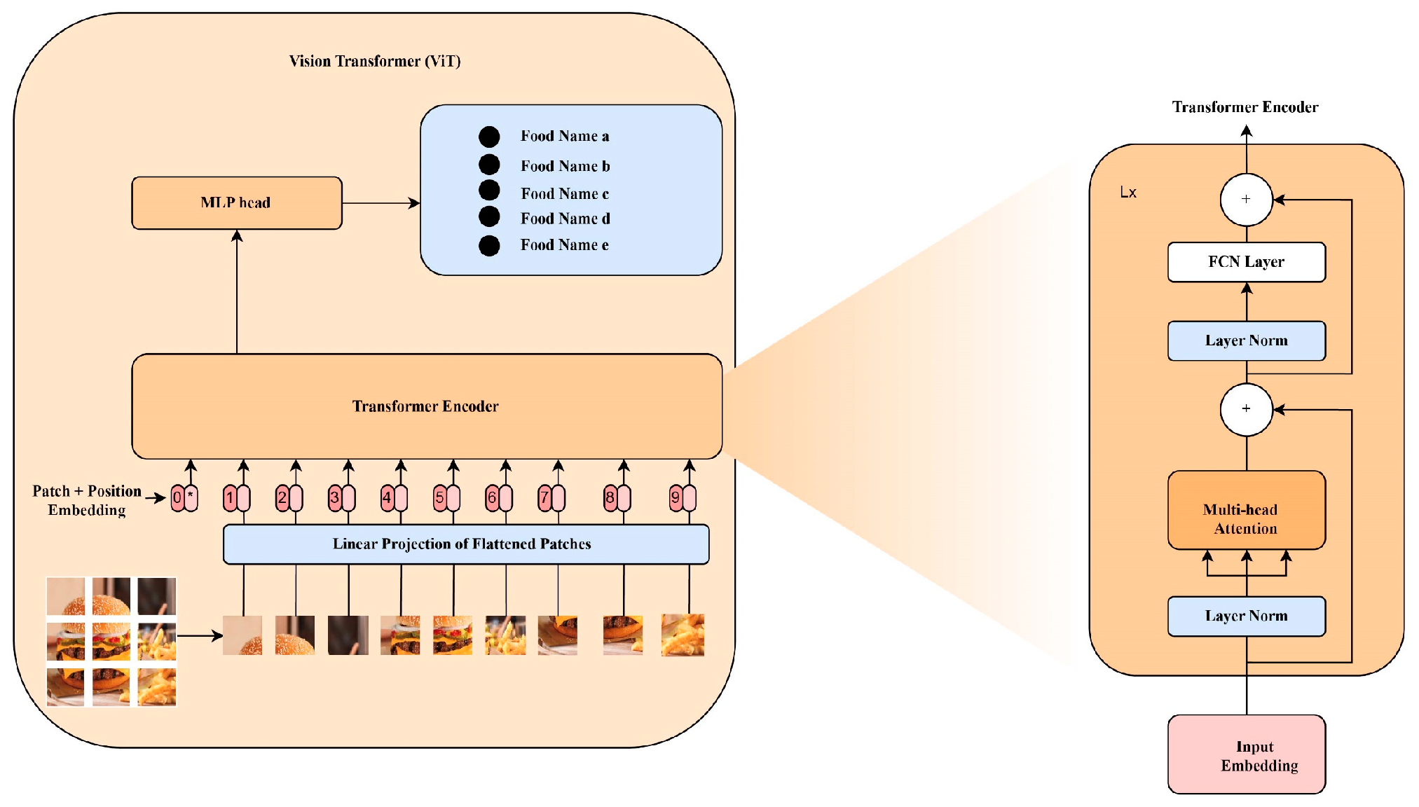 Nutrients 17 00362 g003