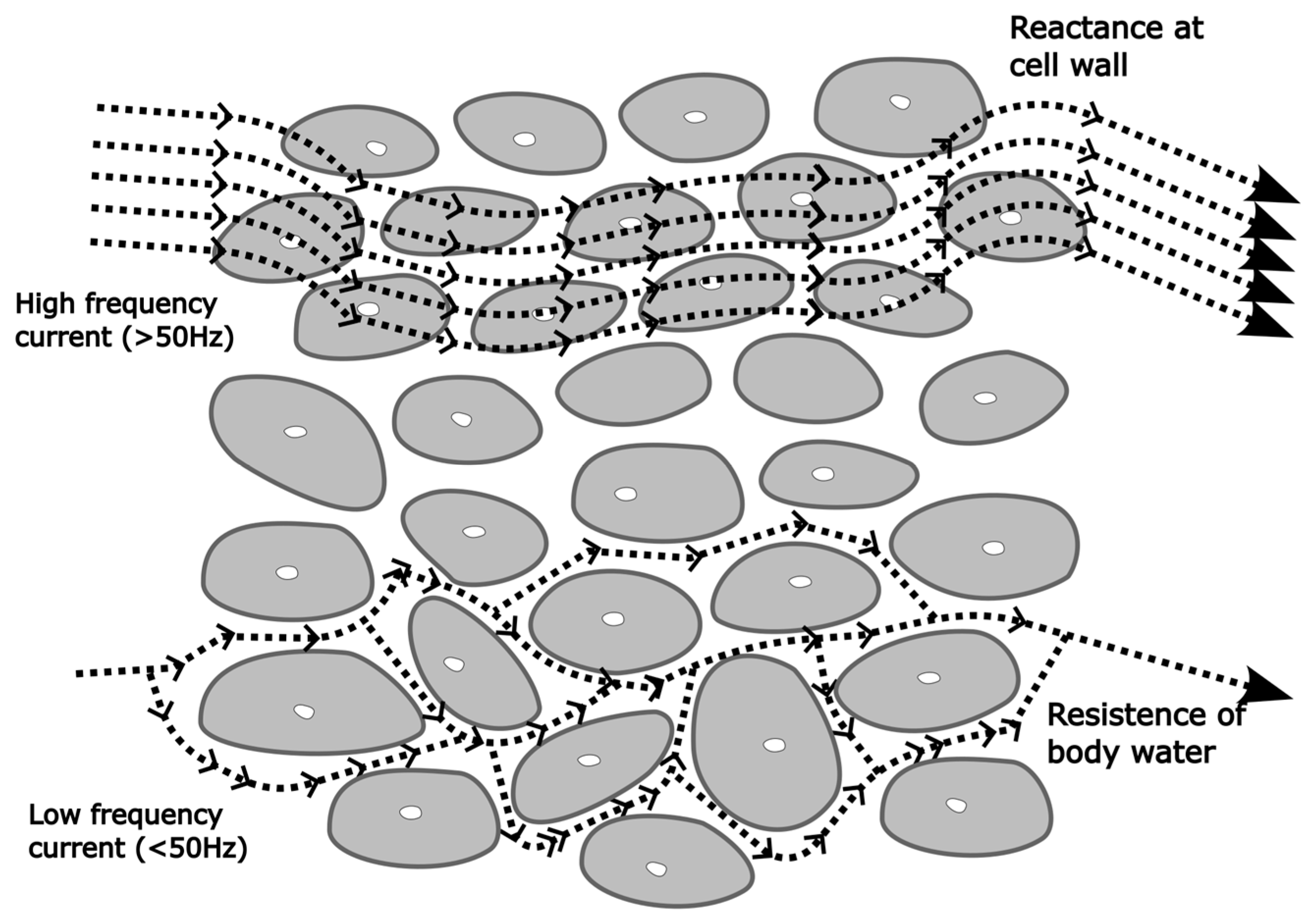 Nutrients 17 00380 g002