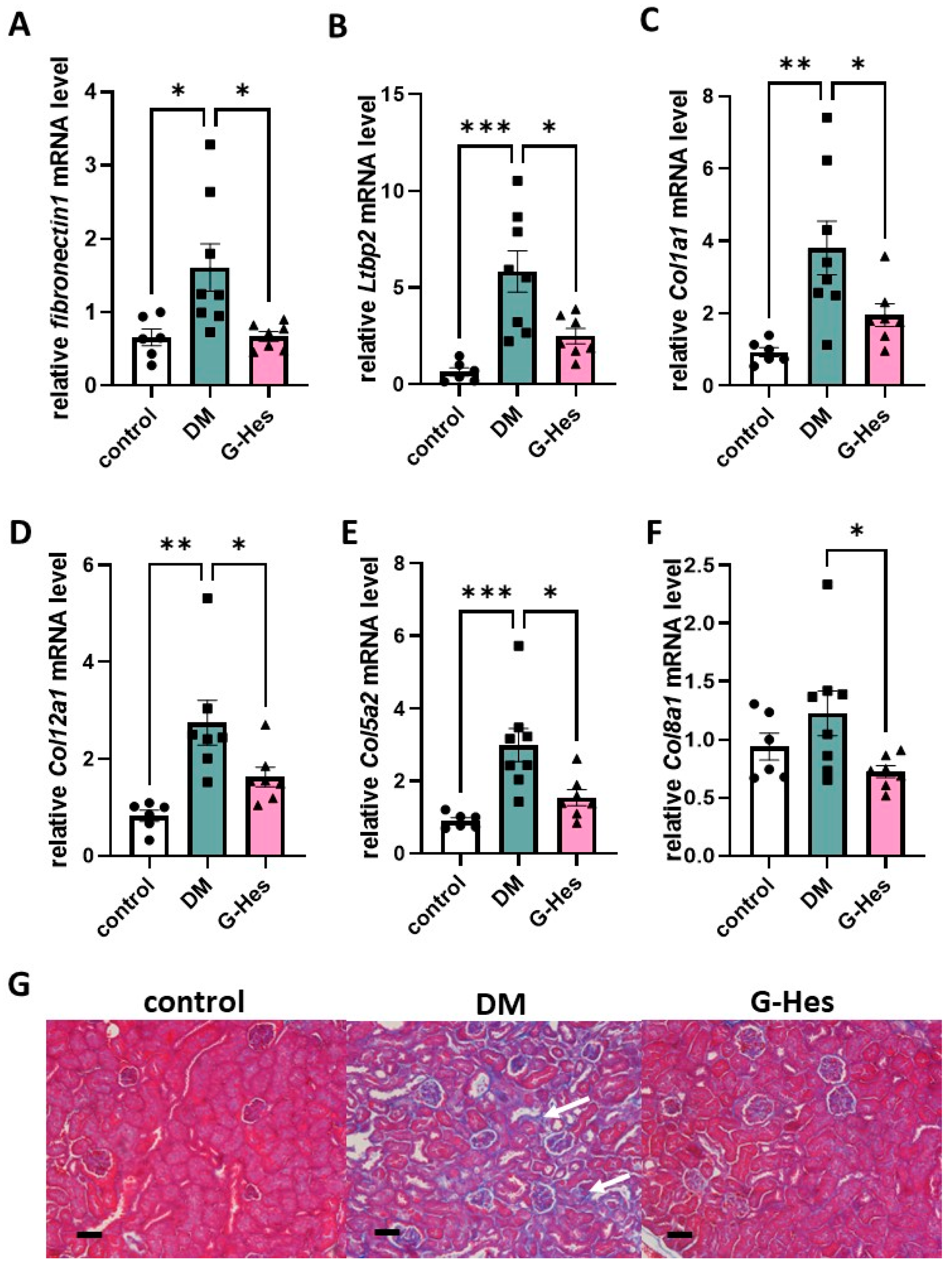 Nutrients 17 00383 g003