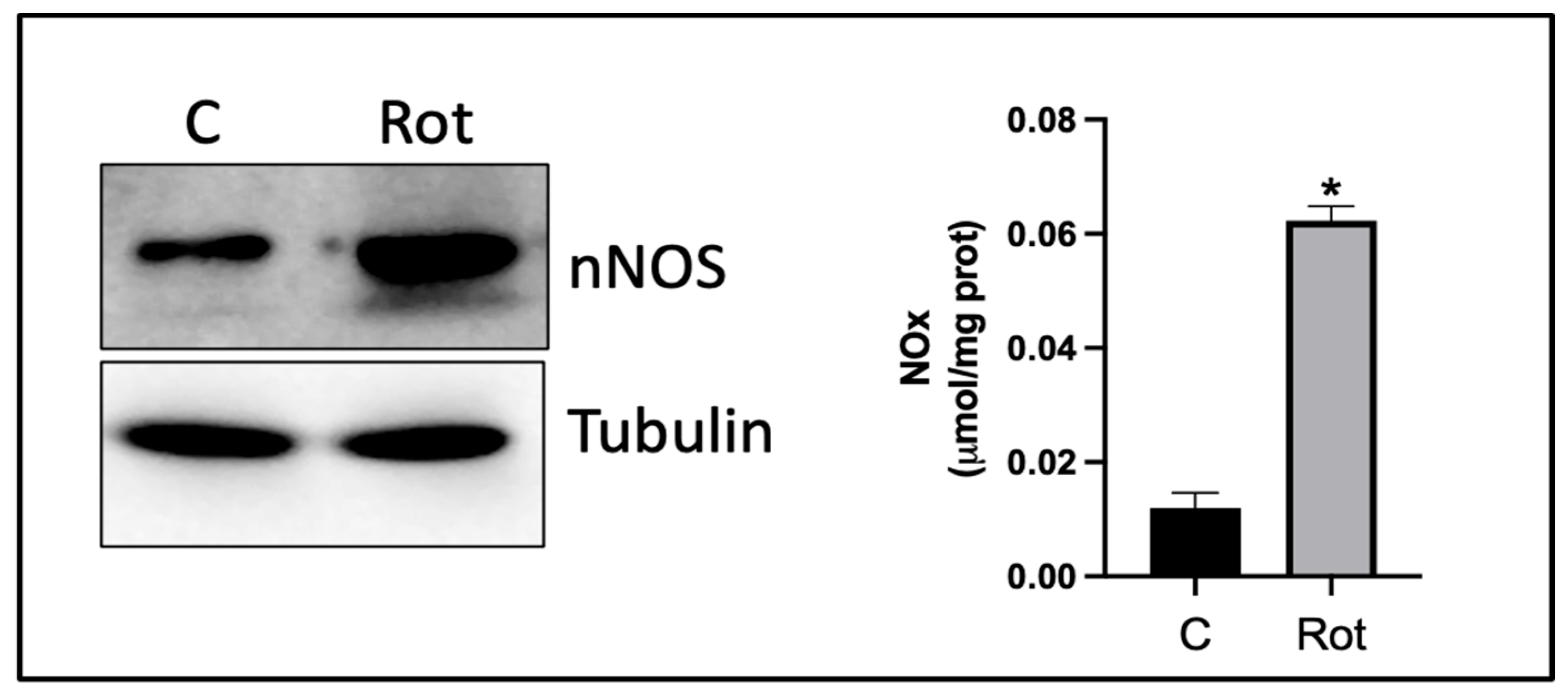 Nutrients 17 00393 g002 Nutrients 17 00393 g002