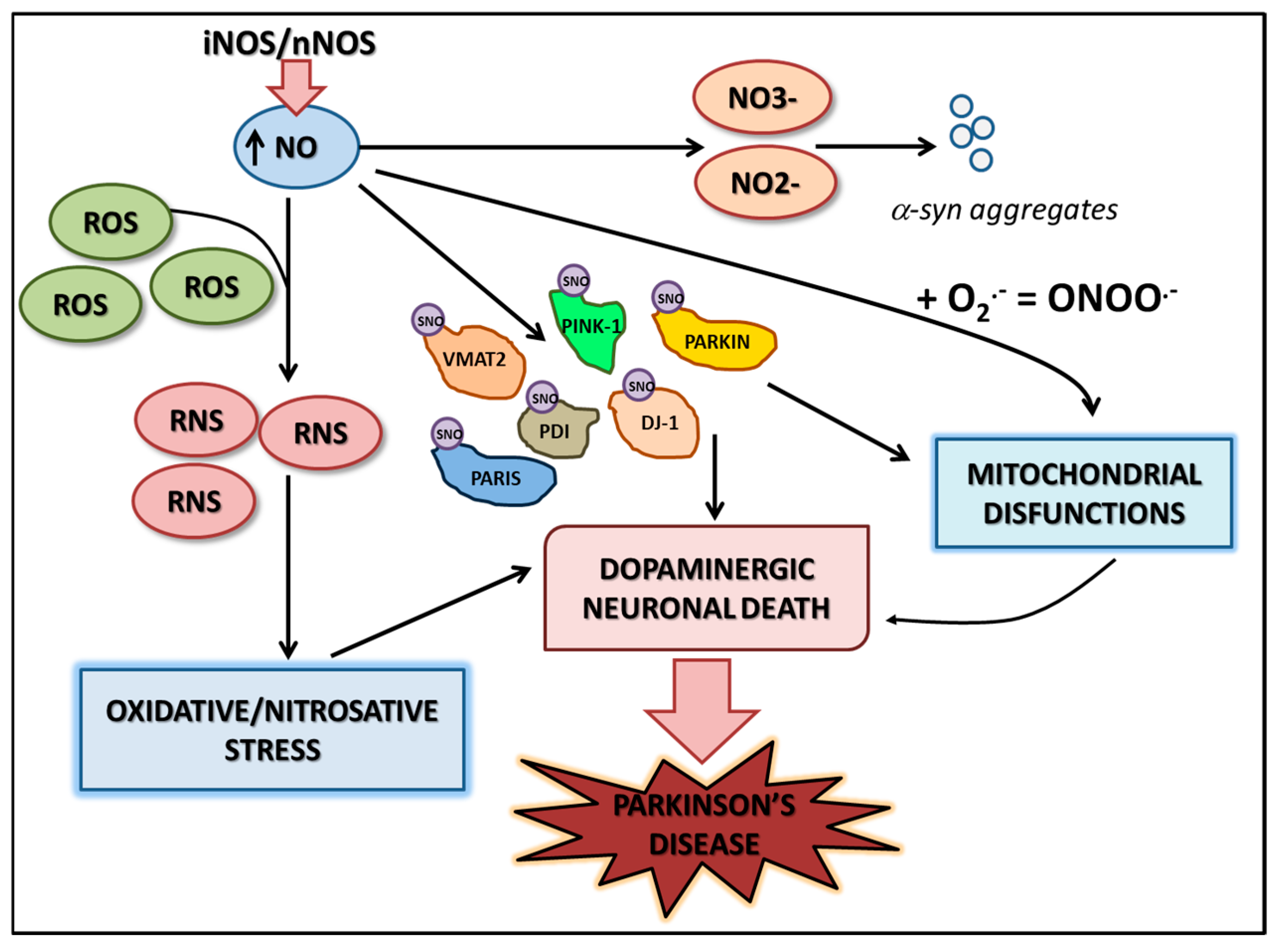 Nutrients 17 00393 g003 Nutrients 17 00393 g003