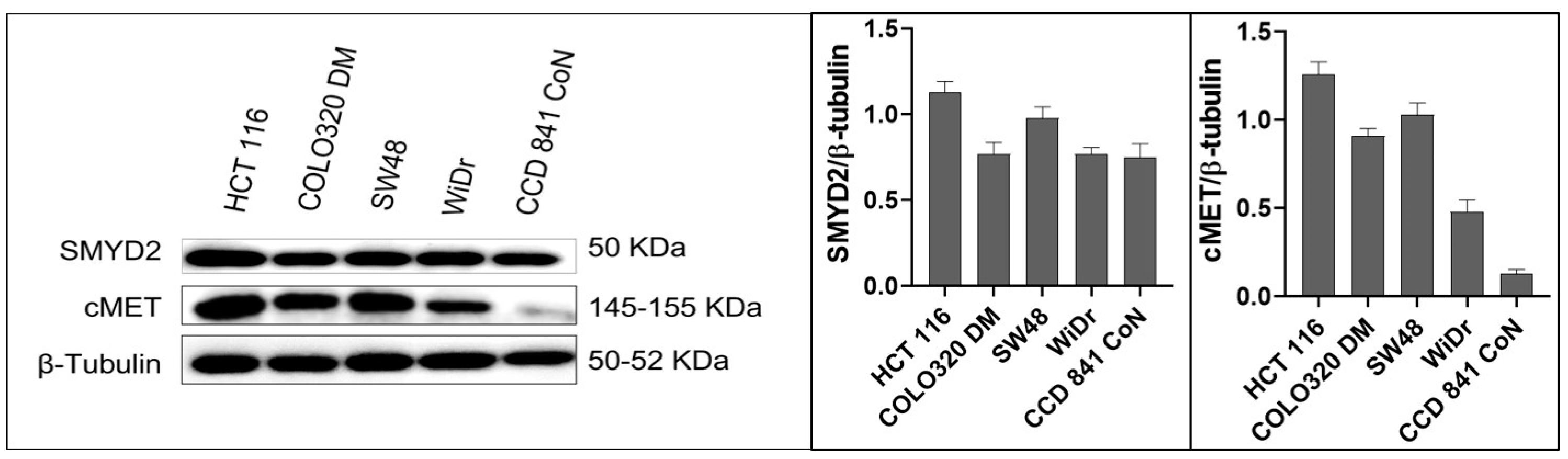 Nutrients 17 00397 g001