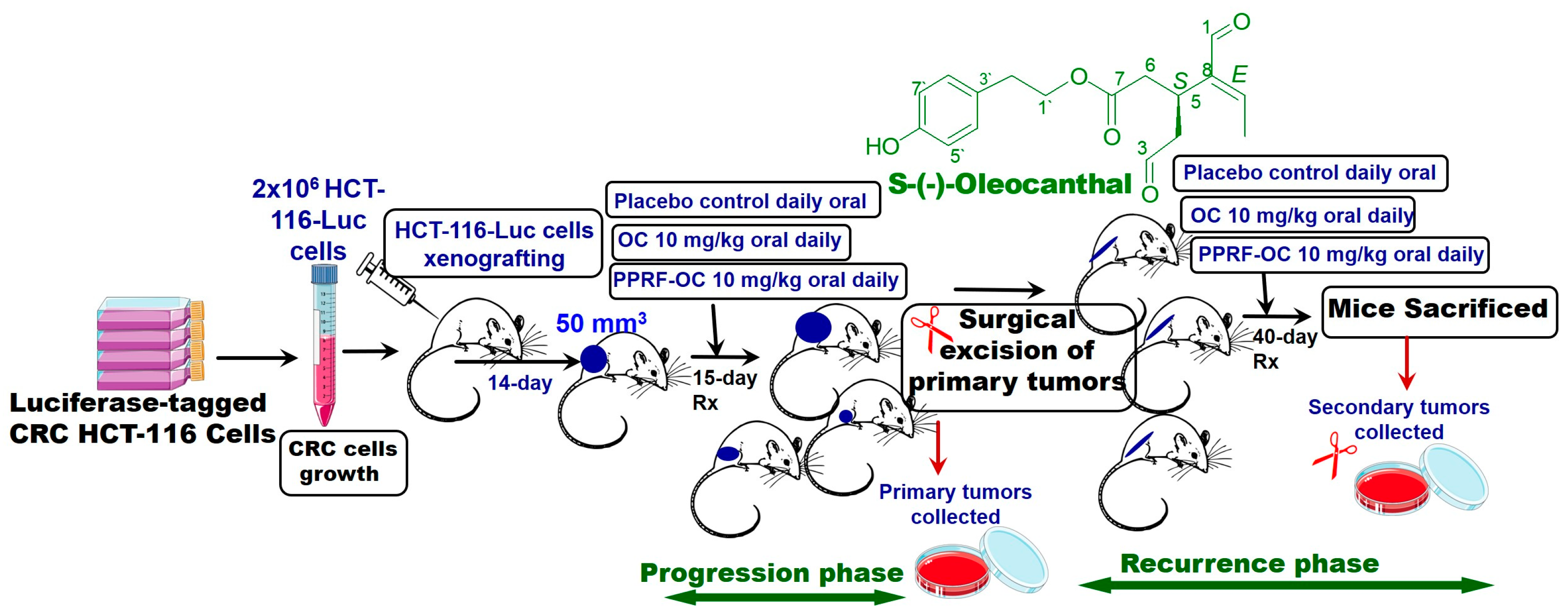 Nutrients 17 00397 g005