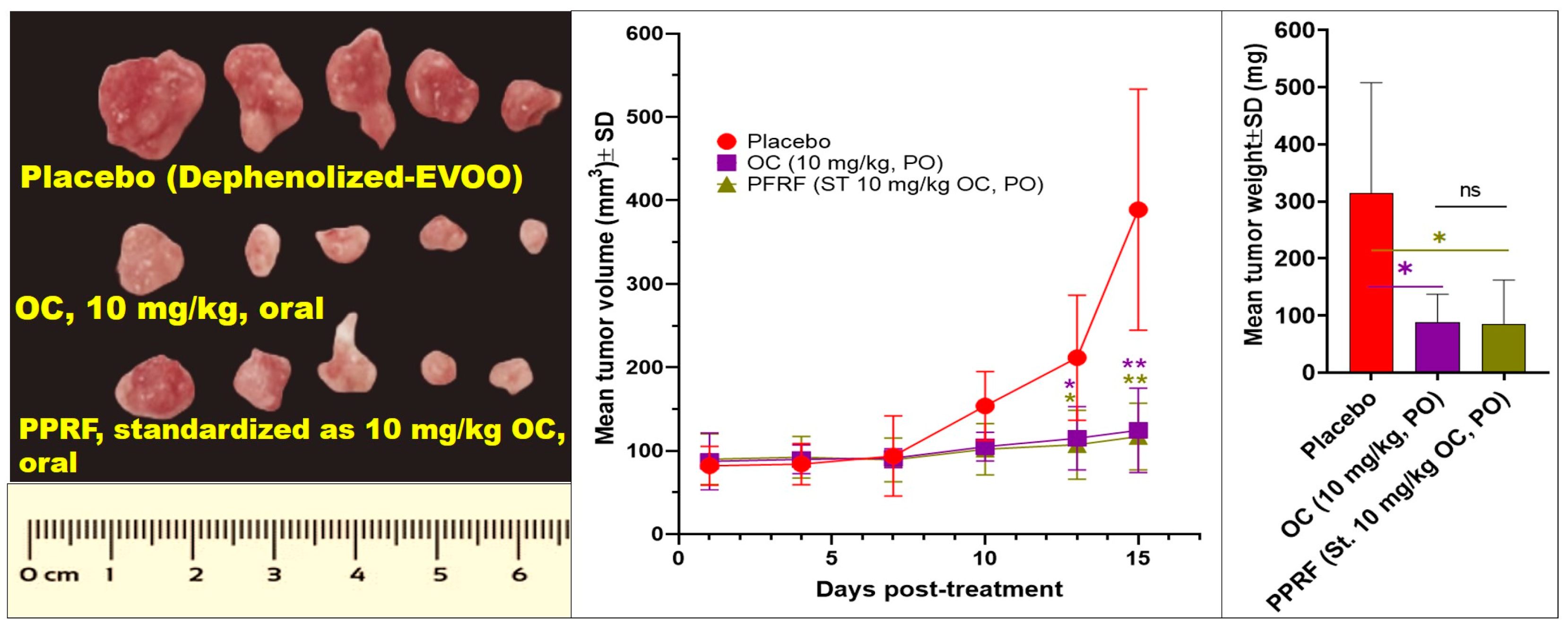 Nutrients 17 00397 g006