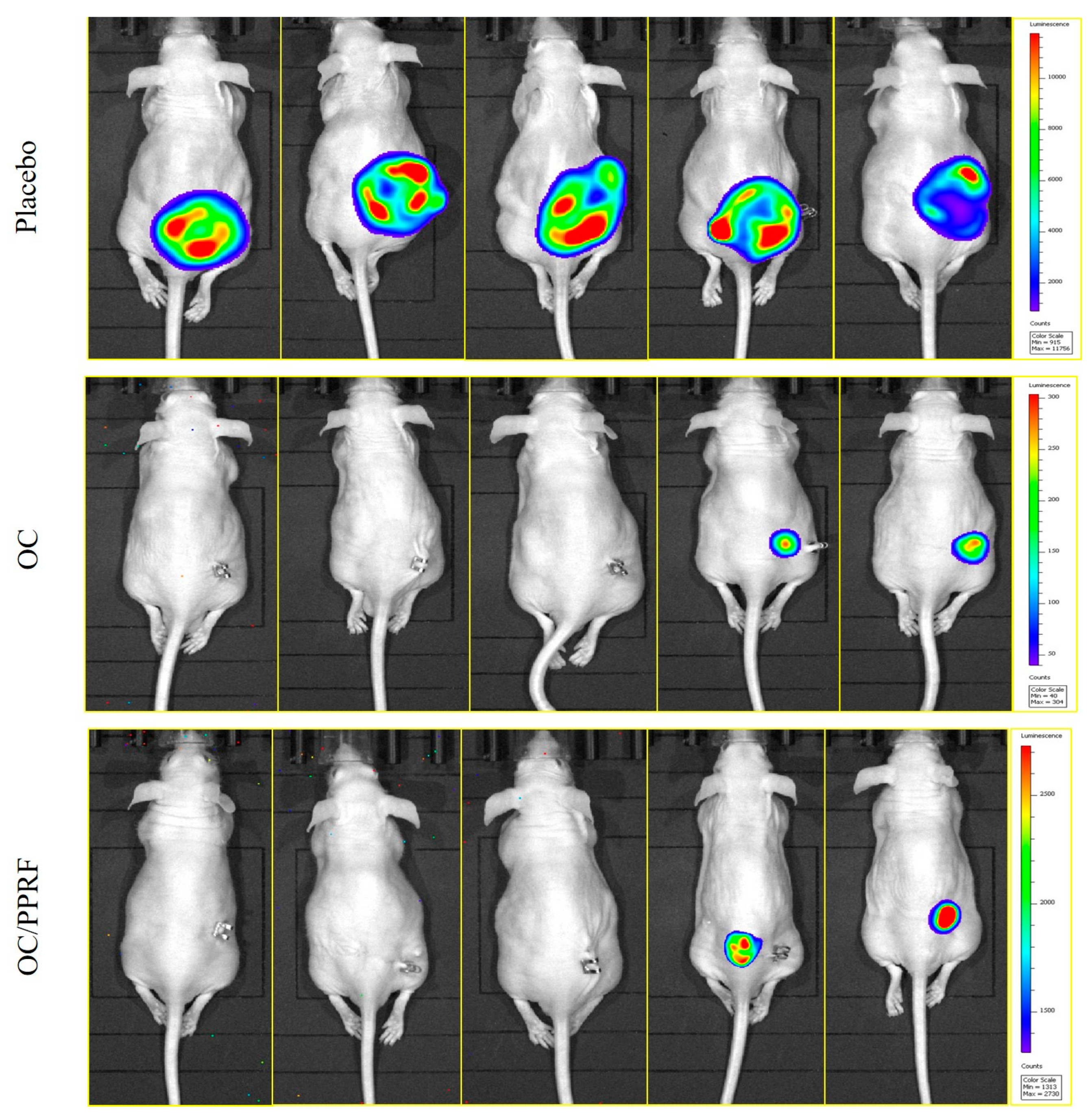 Nutrients 17 00397 g008