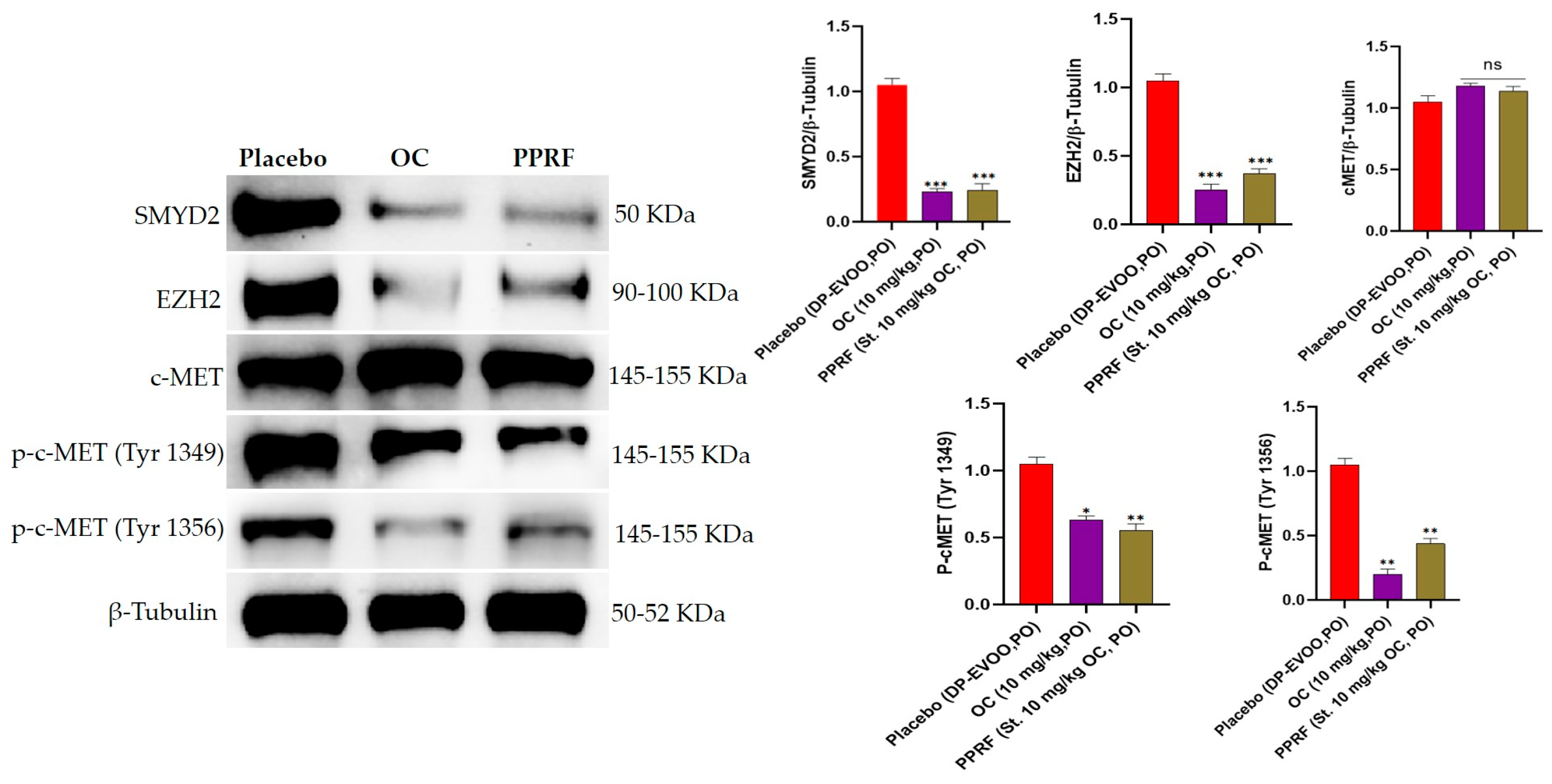 Nutrients 17 00397 g009