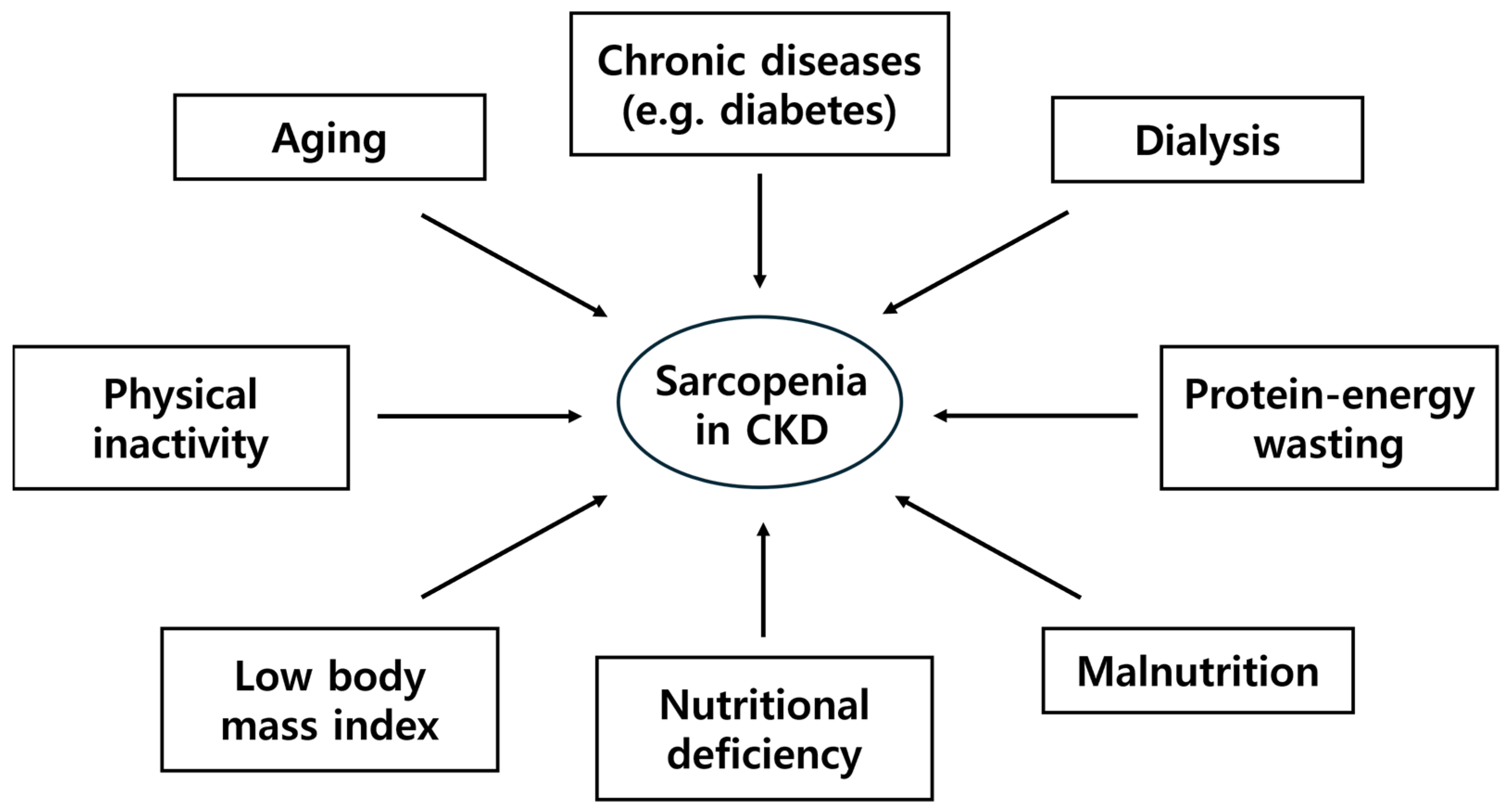 Nutrients 17 00404 g001 Nutrients 17 00404 g001