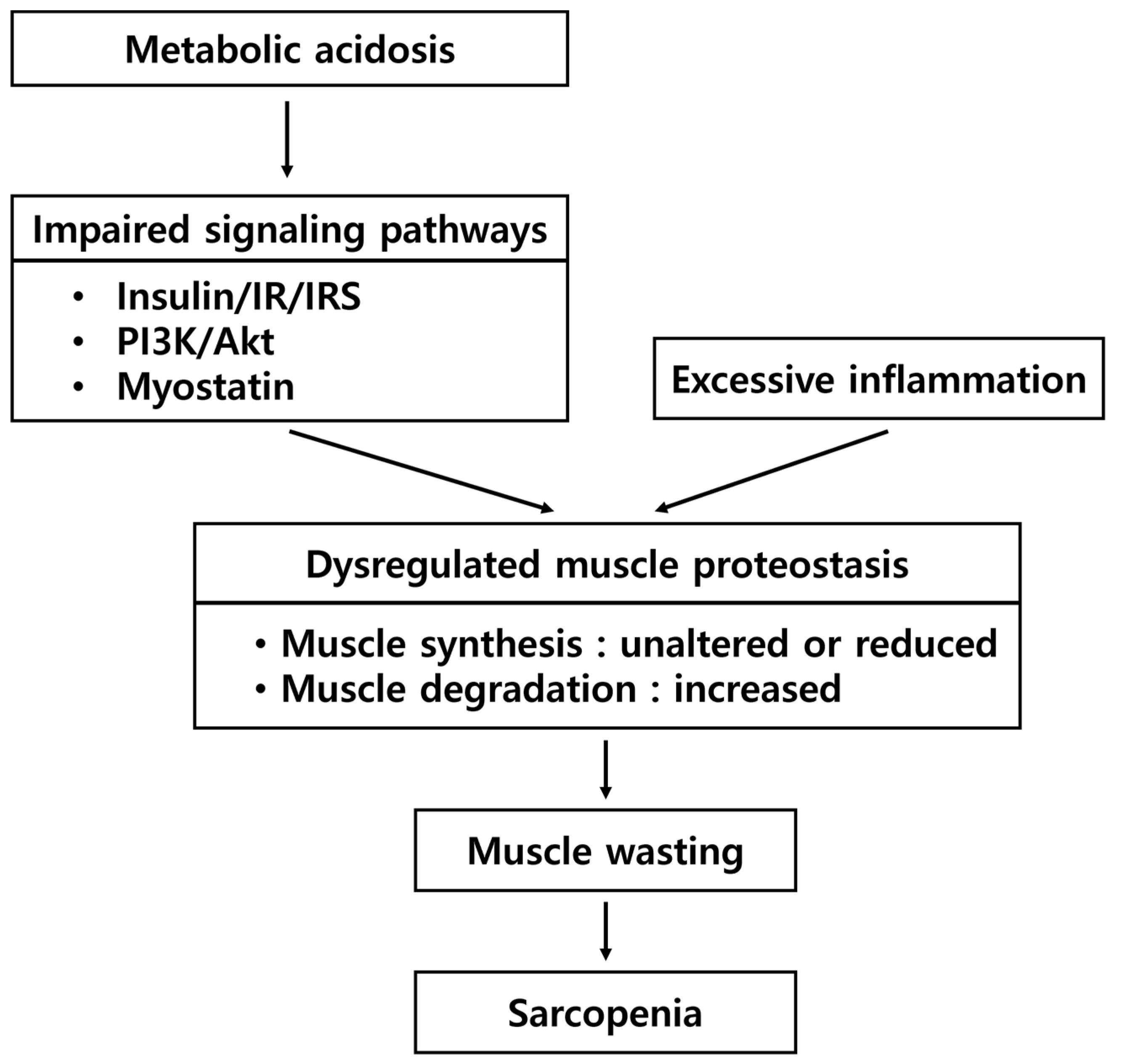 Nutrients 17 00404 g002 Nutrients 17 00404 g002