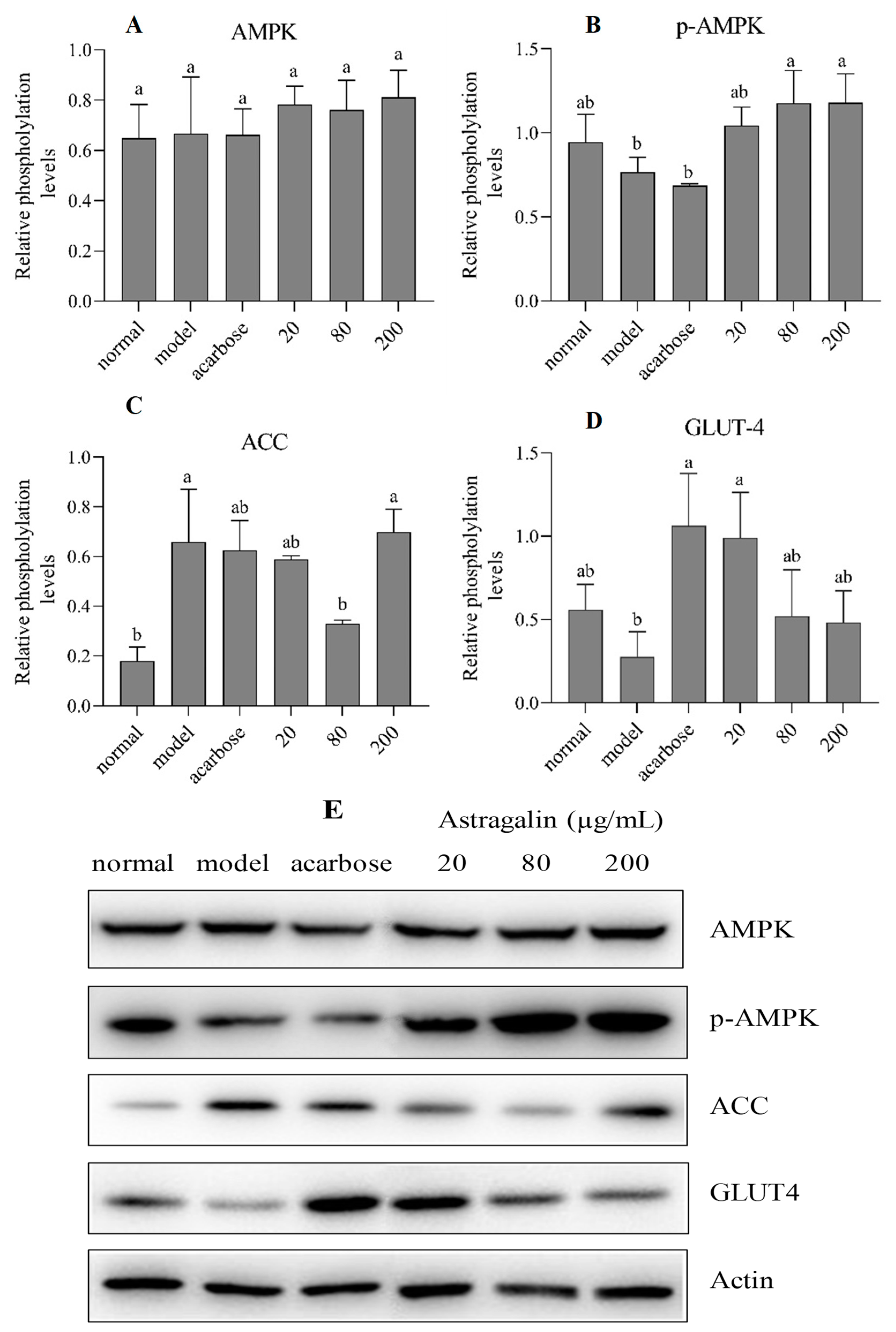 Nutrients 17 00406 g006