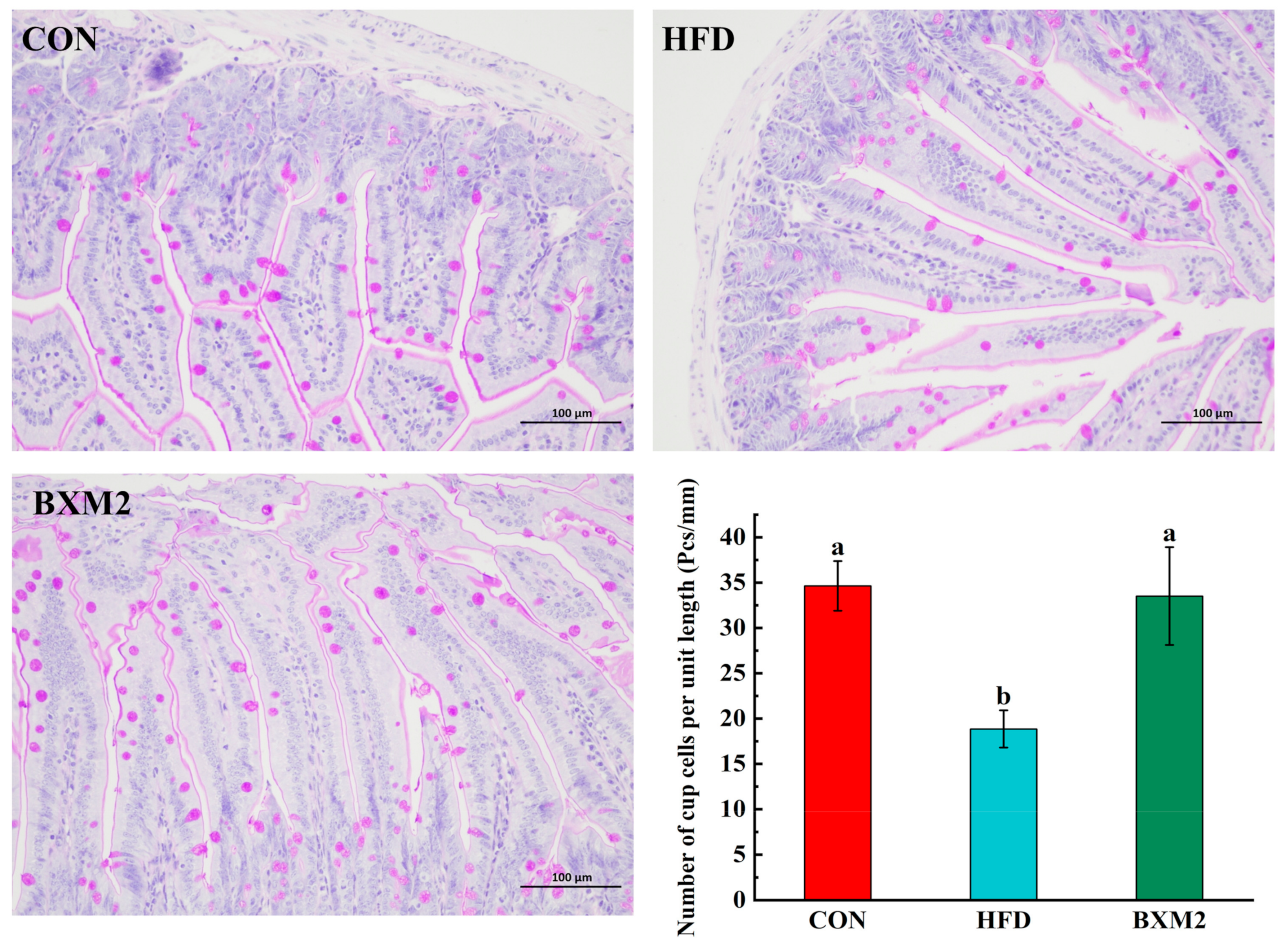 Nutrients 17 00407 g004