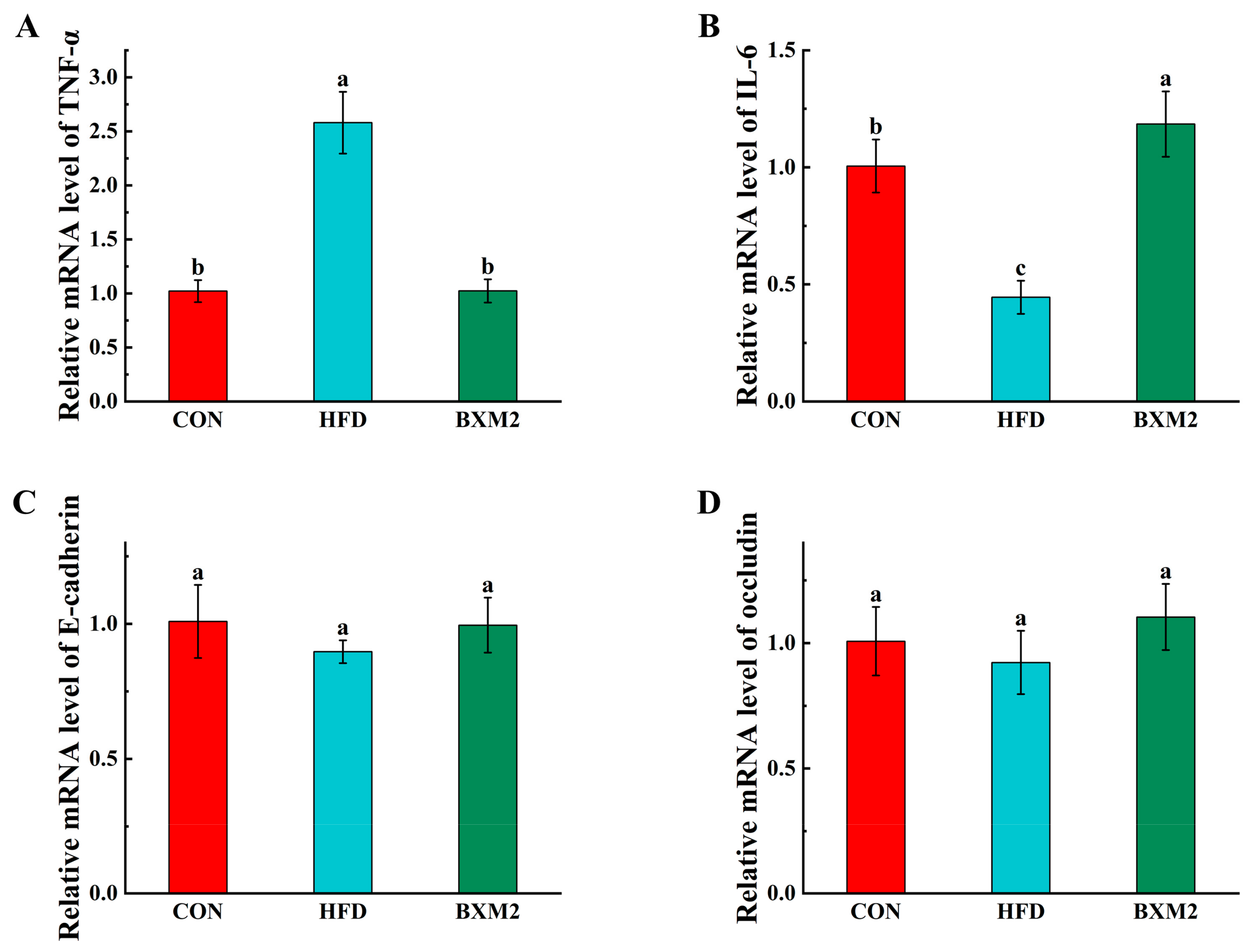 Nutrients 17 00407 g005