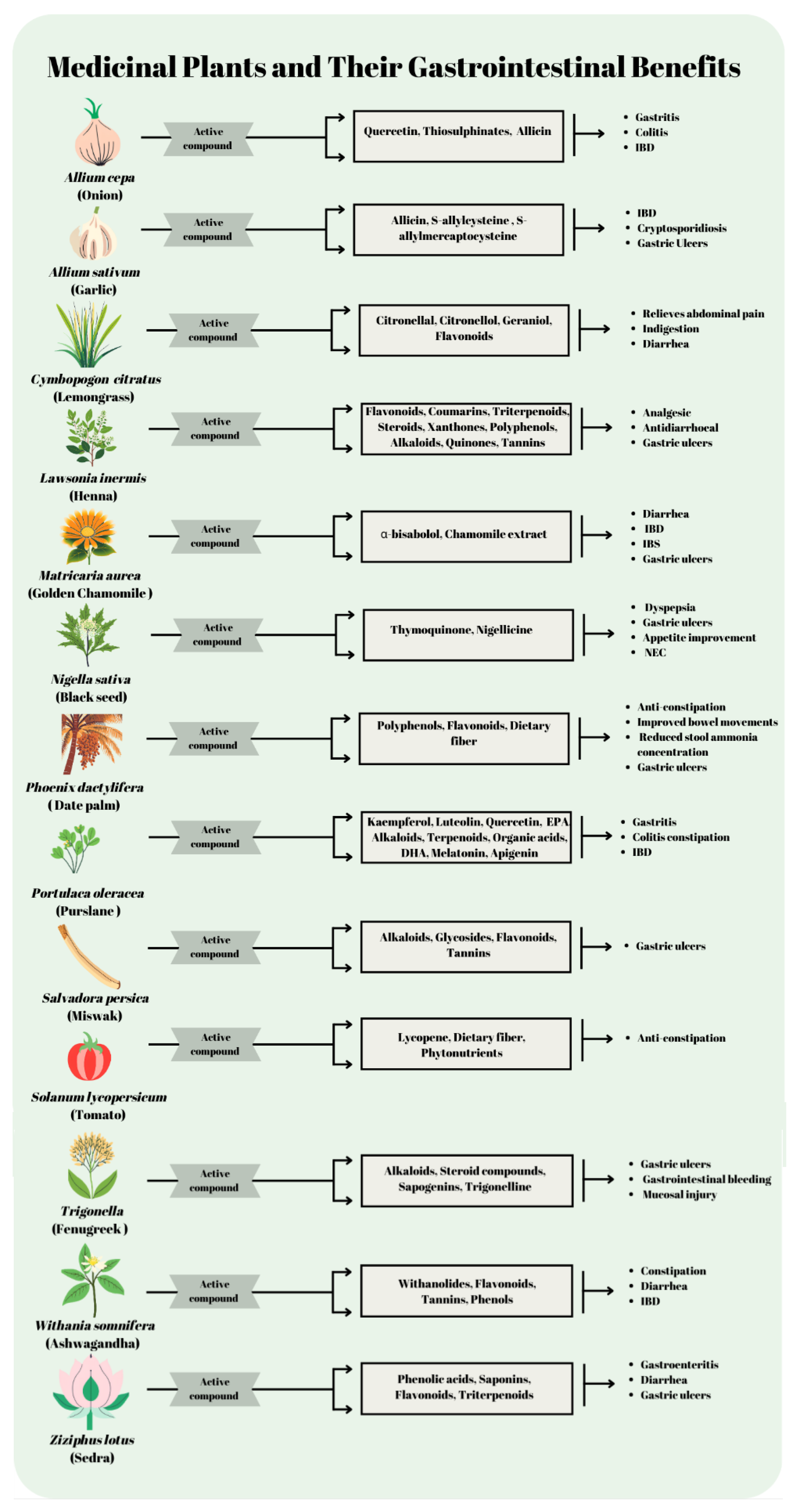 Nutrients 17 00411 g002 Nutrients 17 00411 g002