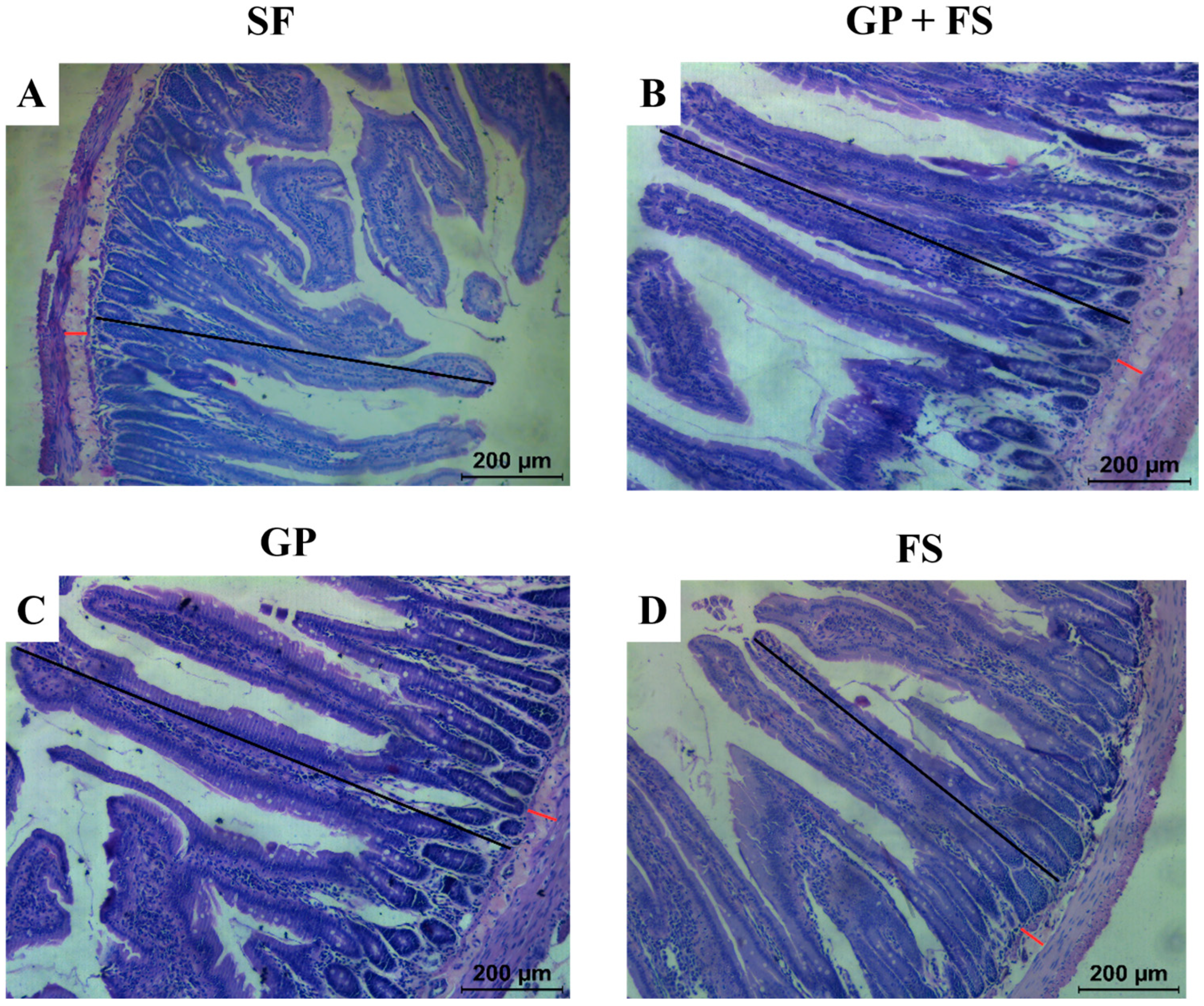 Nutrients 17 00437 g001