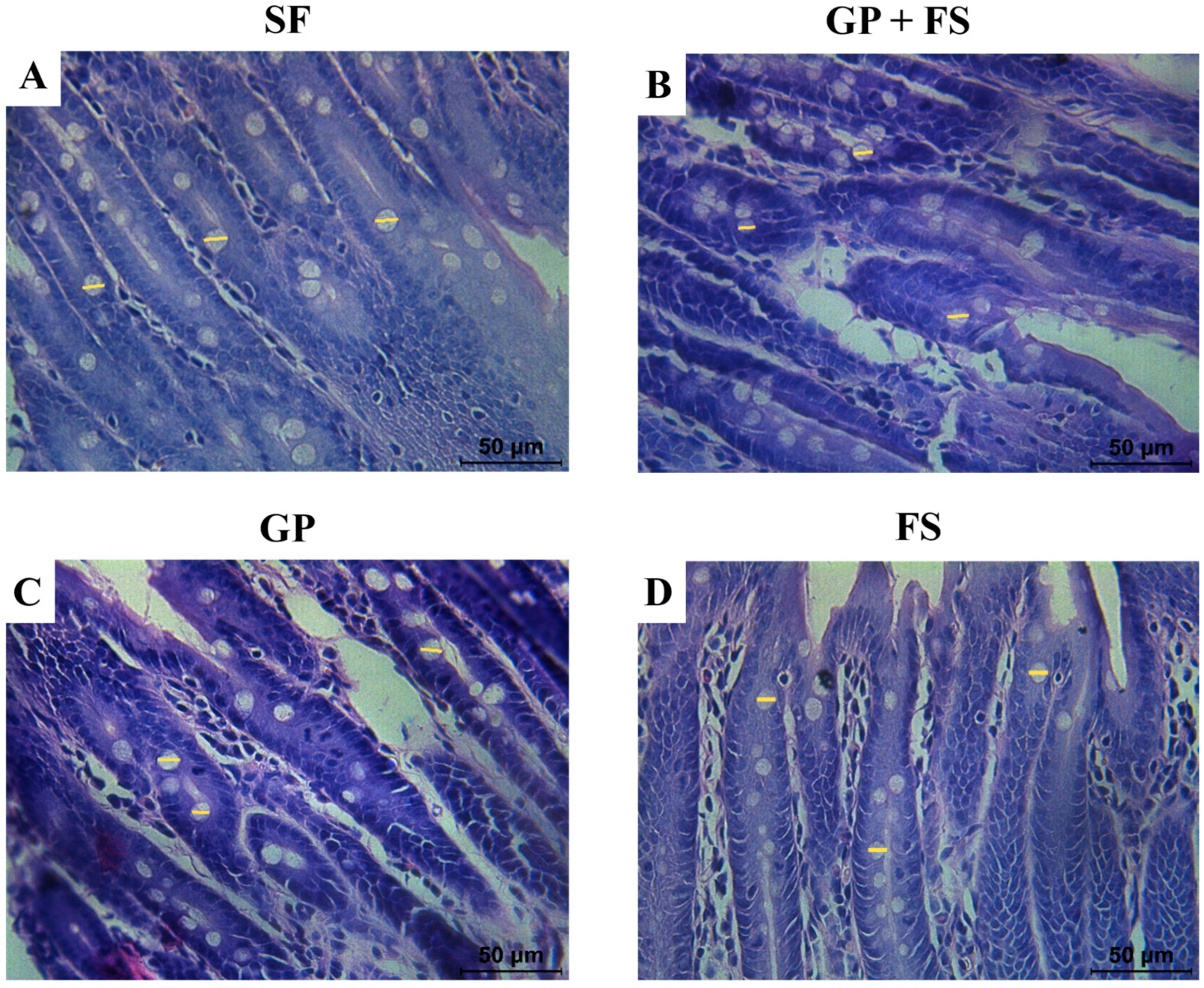 Nutrients 17 00437 g002