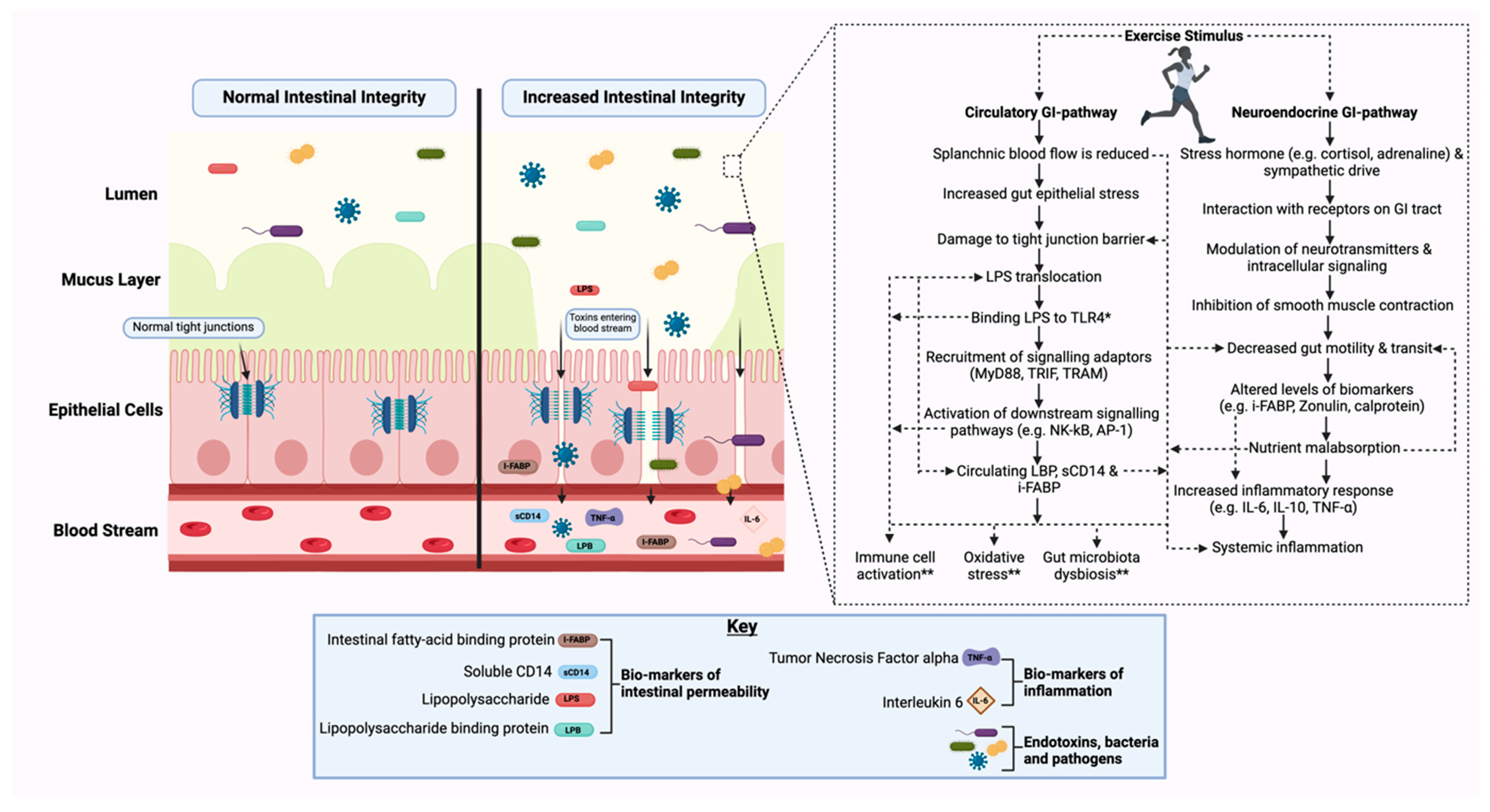Nutrients 17 00443 g001