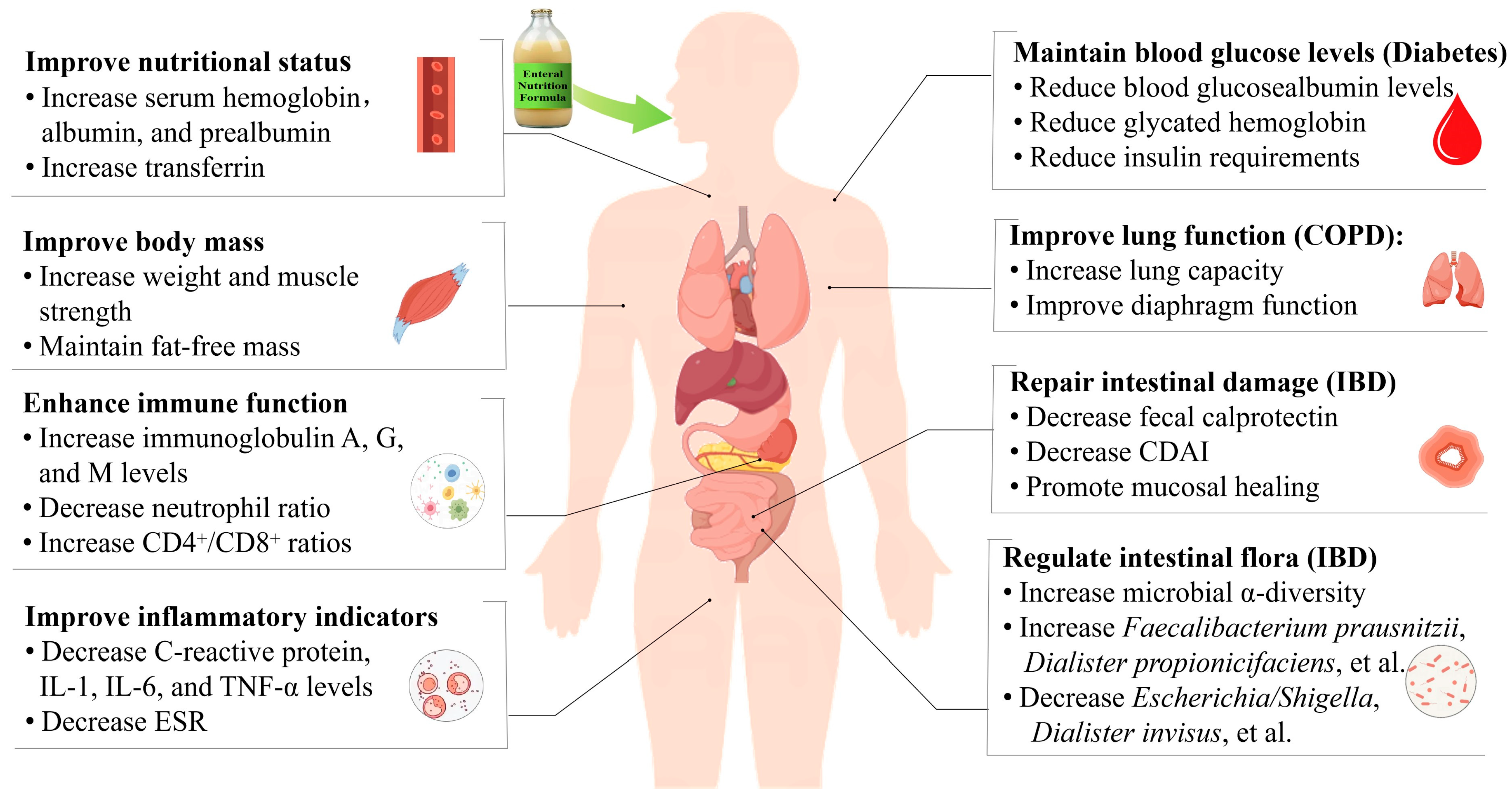 Nutrients 17 00450 g001