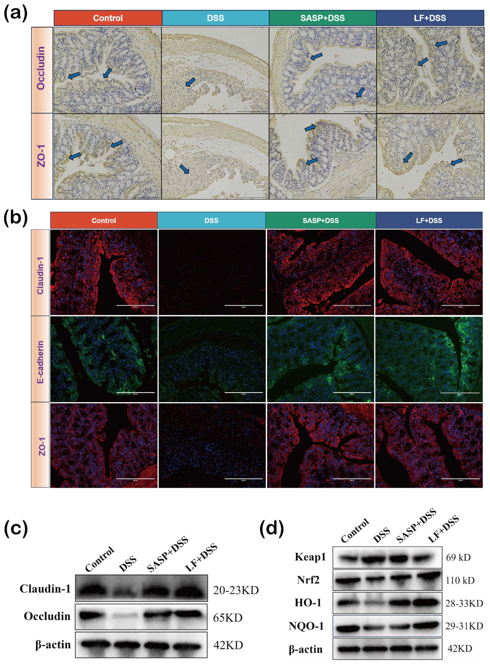 Nutrients 17 00452 g006