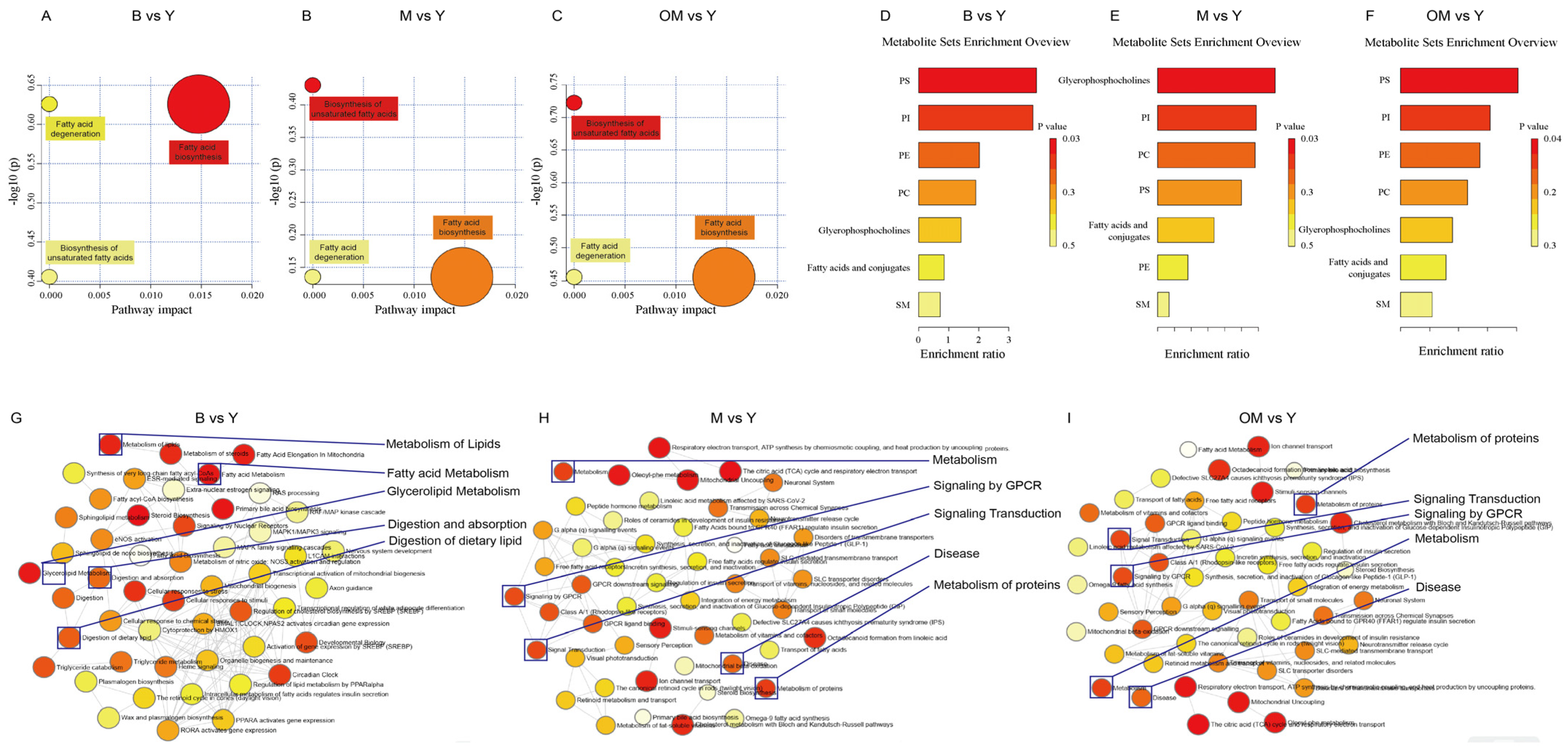 Nutrients 17 00457 g004
