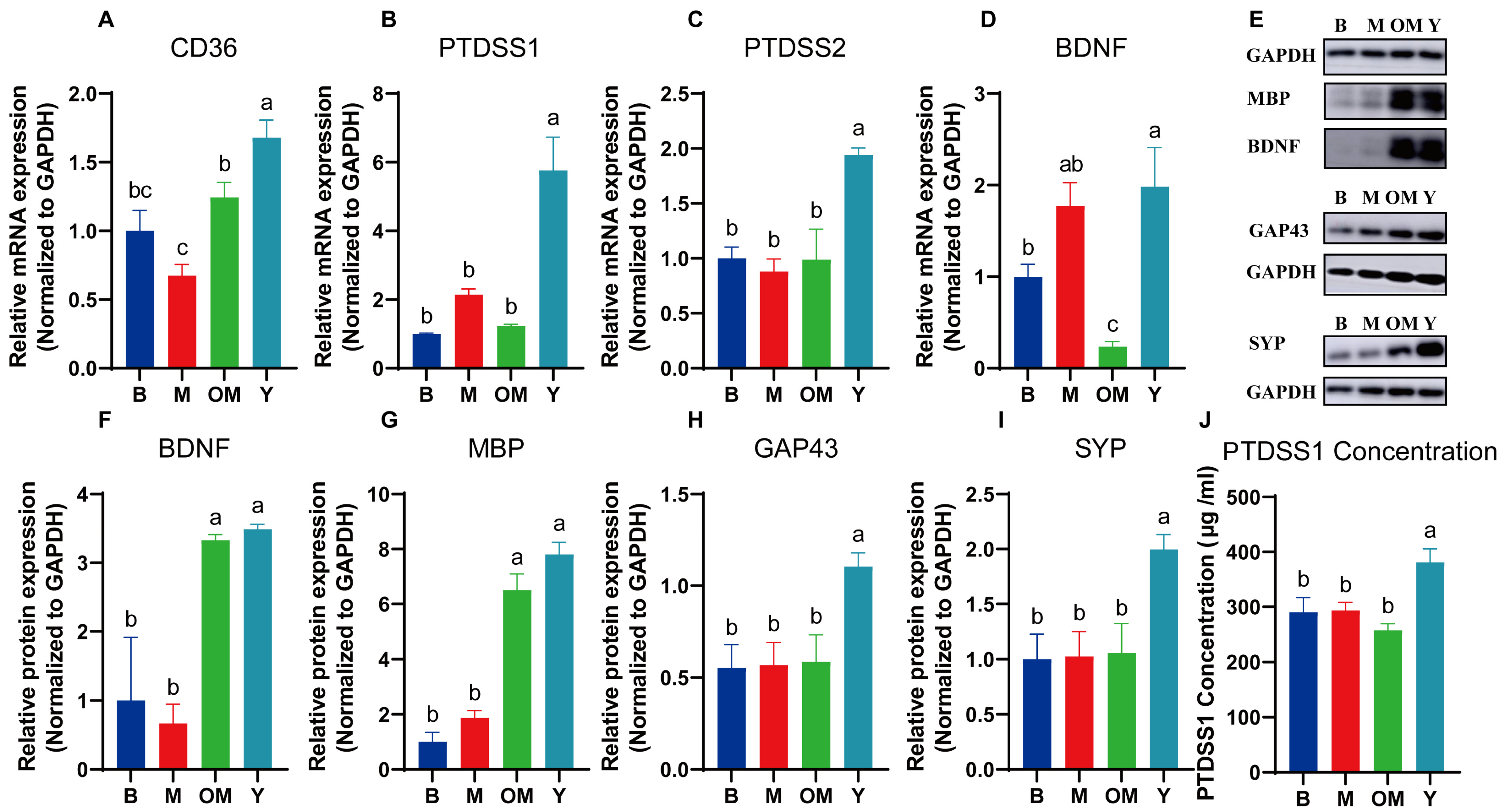 Nutrients 17 00457 g005