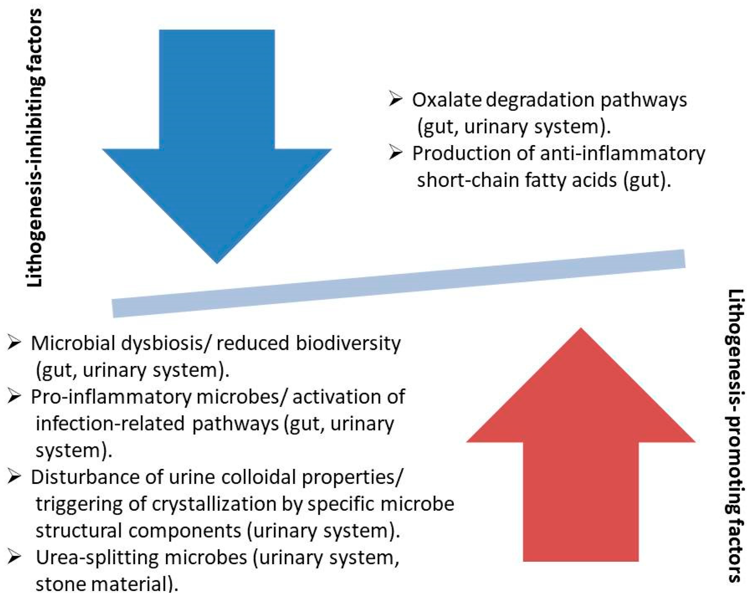 Nutrients 17 00465 g004