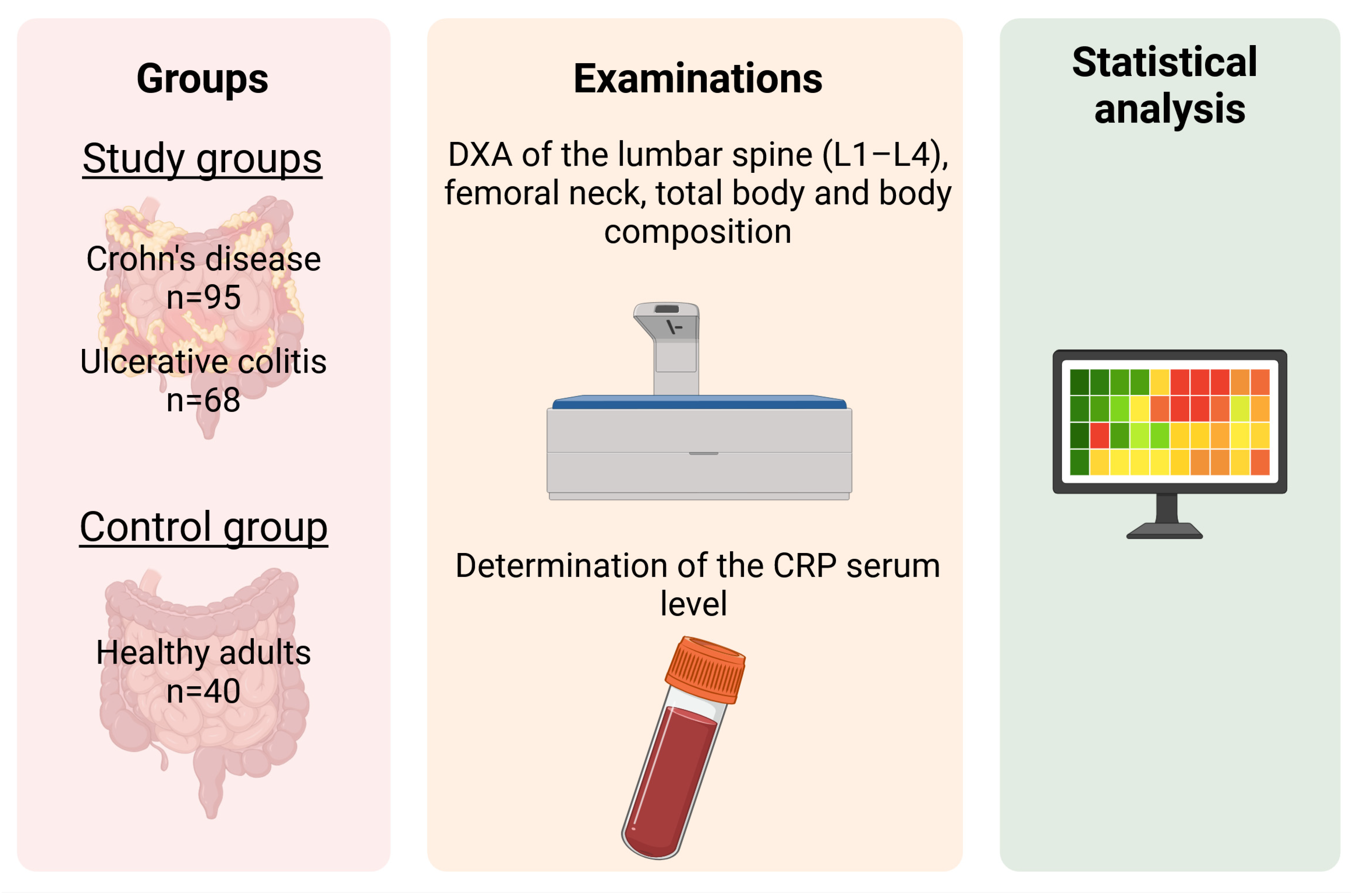Nutrients 17 00466 g001