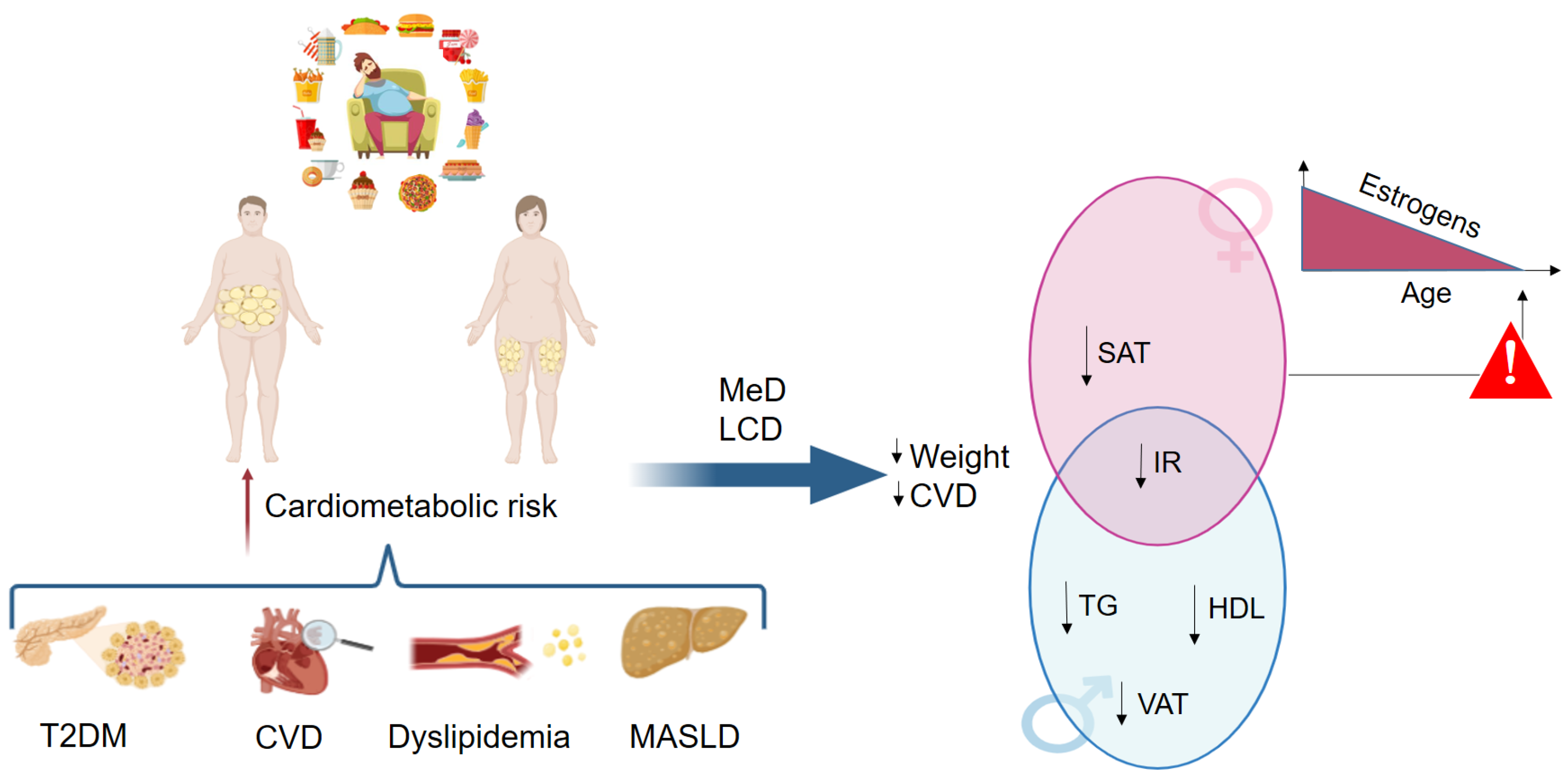 Nutrients 17 00477 g001 Nutrients 17 00477 g001