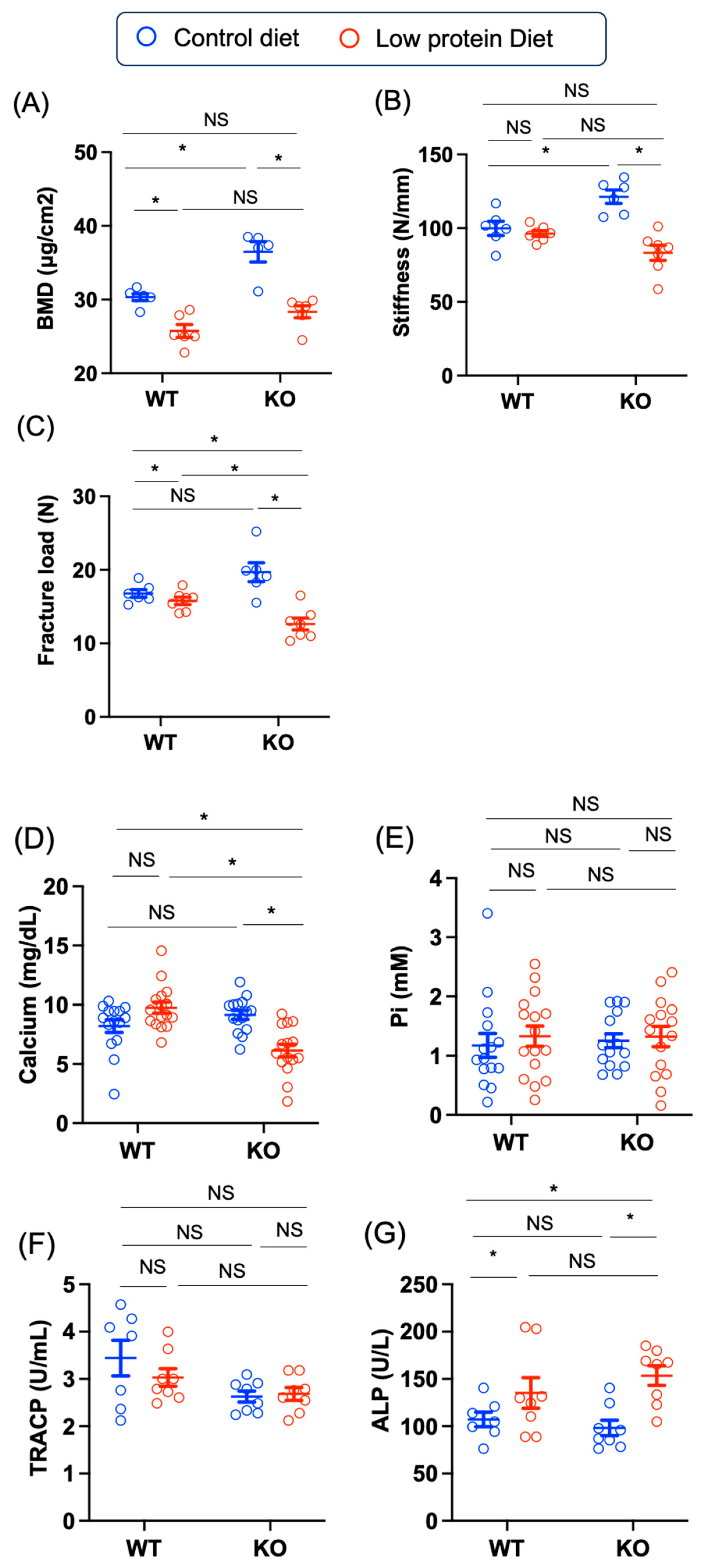 Nutrients 17 00488 g005