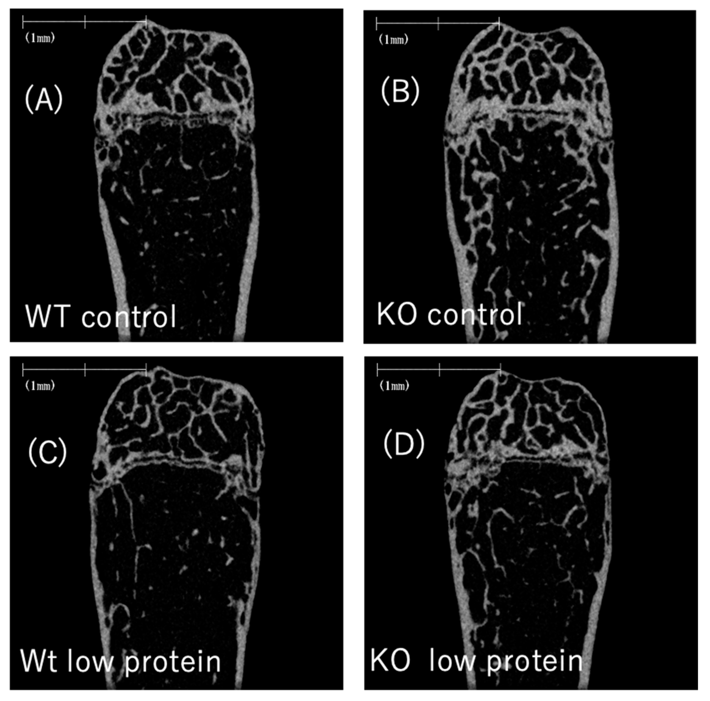 Nutrients 17 00488 g006a