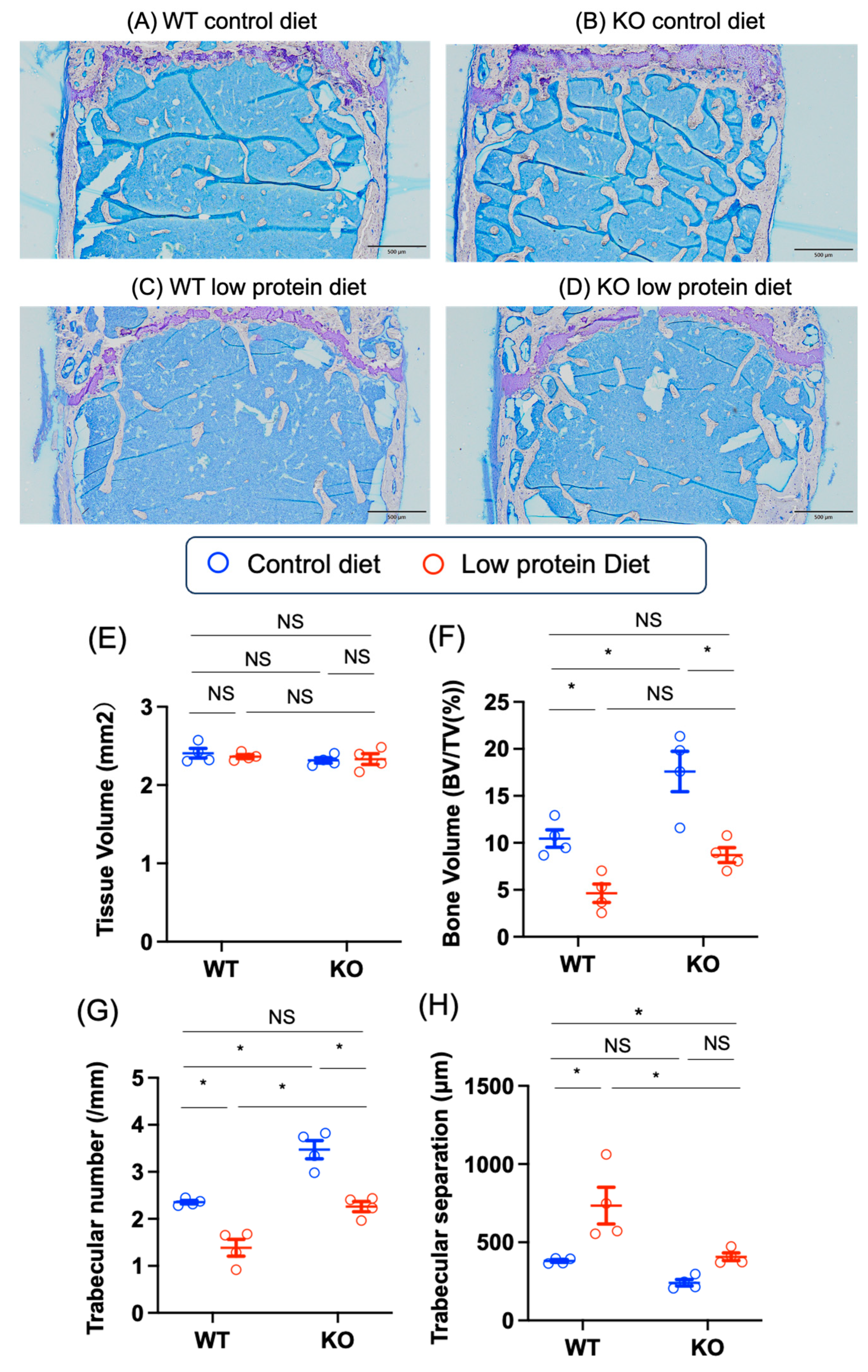 Nutrients 17 00488 g007a